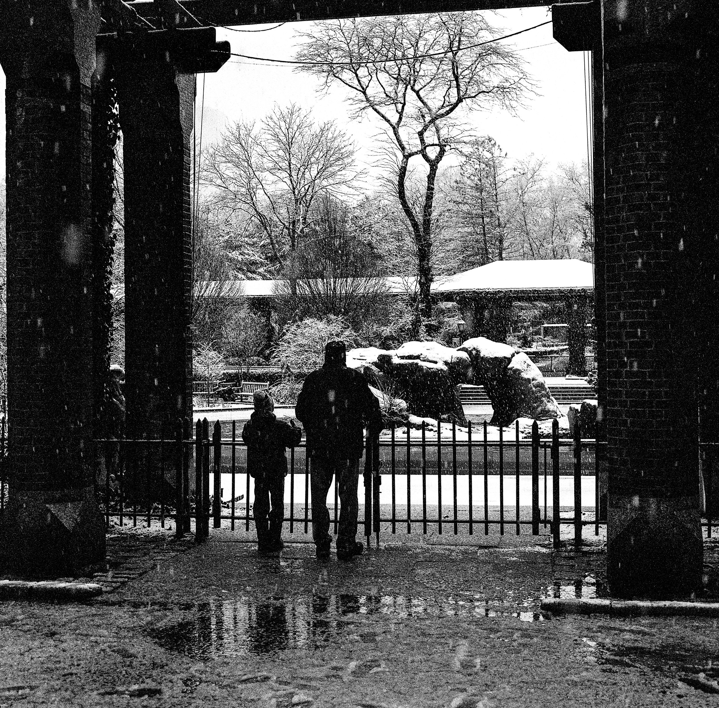 Winter18003.JPG
