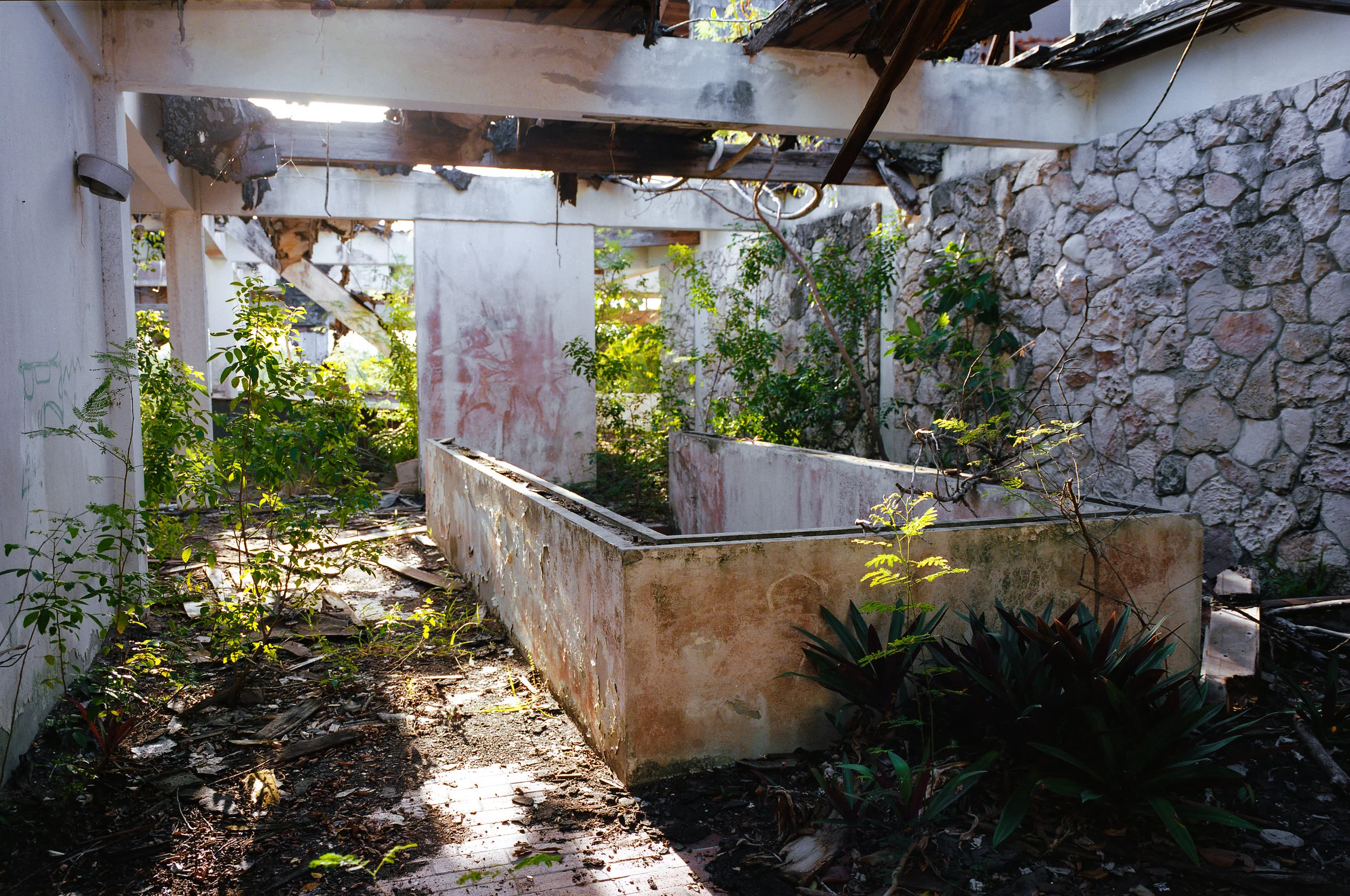 Bahamas18_010.JPG