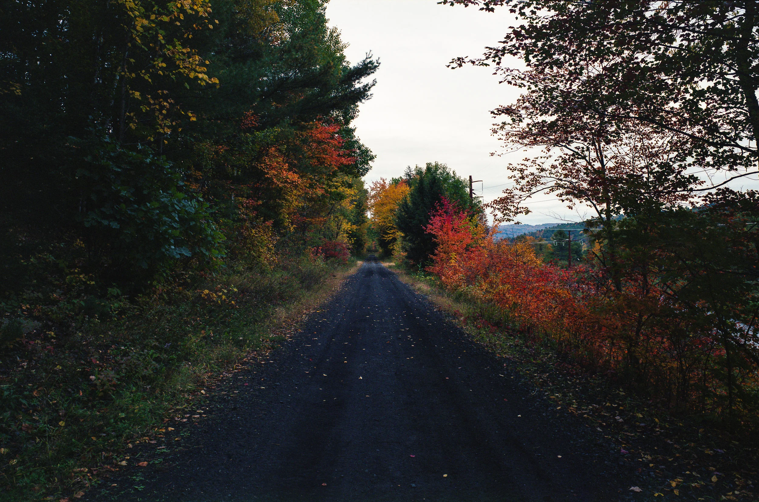 NH_Fall18012.JPG