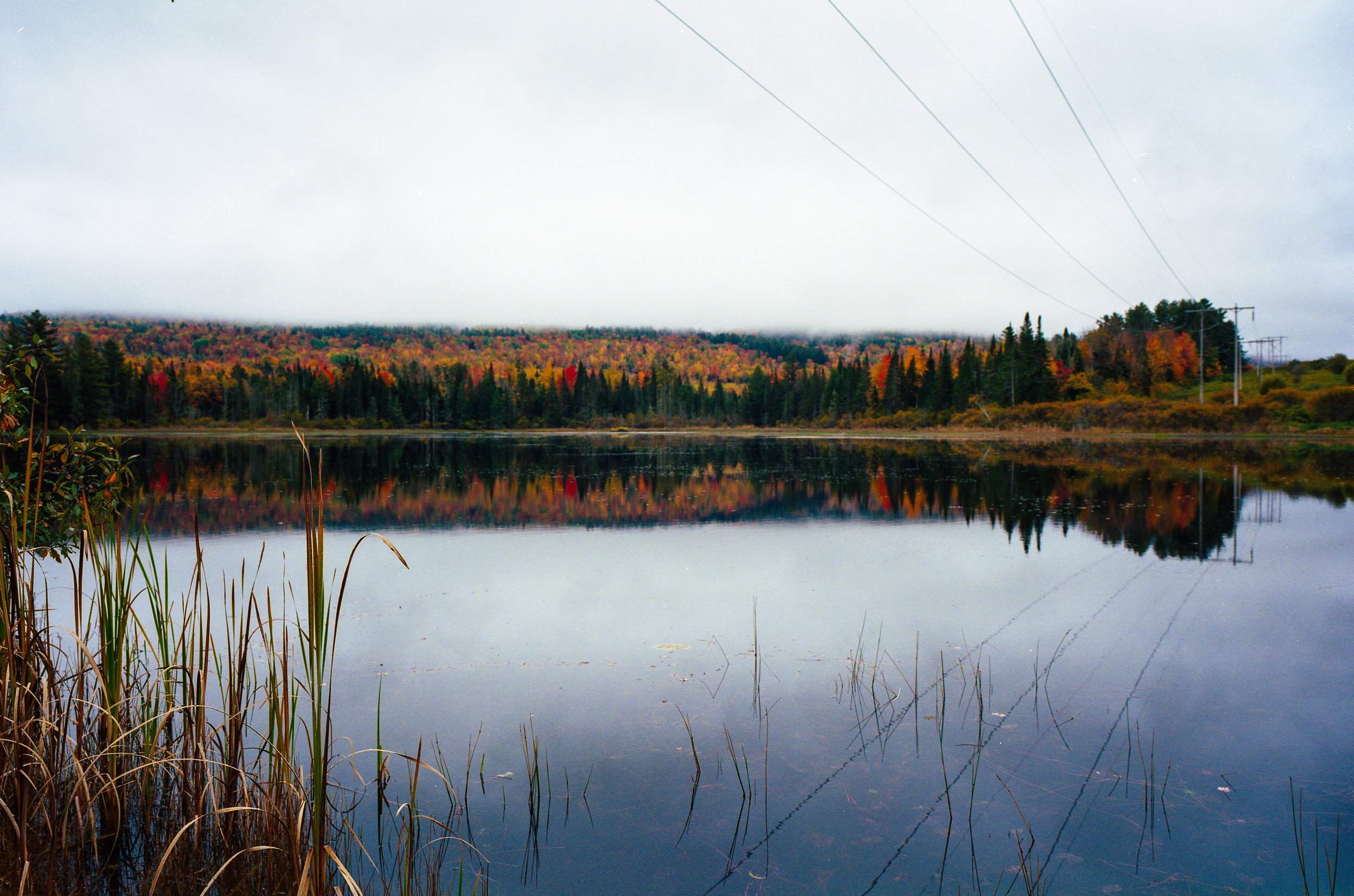 NH_Fall18007.JPG