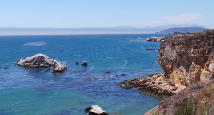 cali cover.jpg