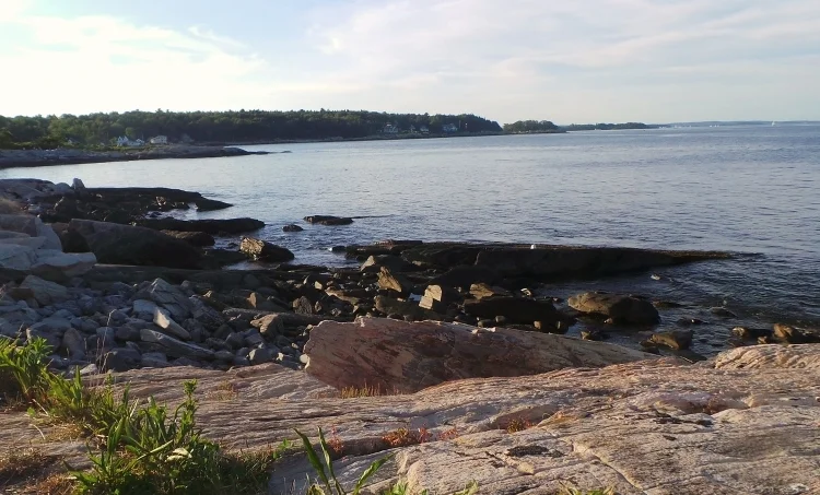 20140820_180958.JPG