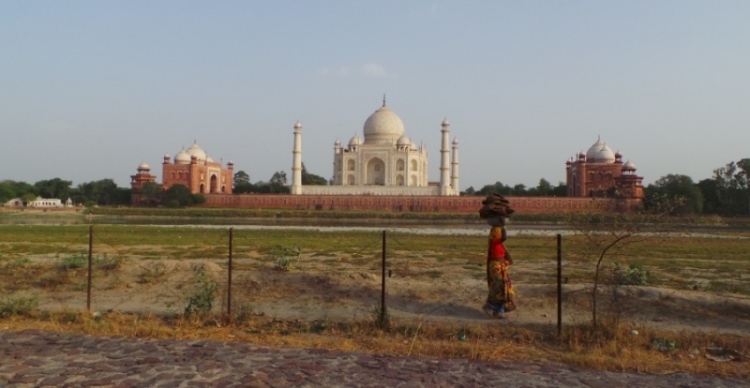 India Cover.jpg