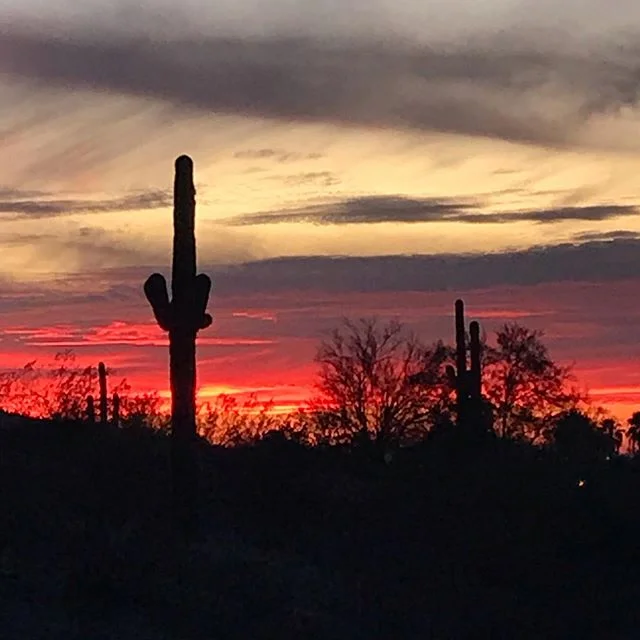 Sunset last night at Papago Park #nofilter #nature #sunset #hike #papagoparkaz #phoenix #arizona #explore #cactus #sunday #sunsetphotography