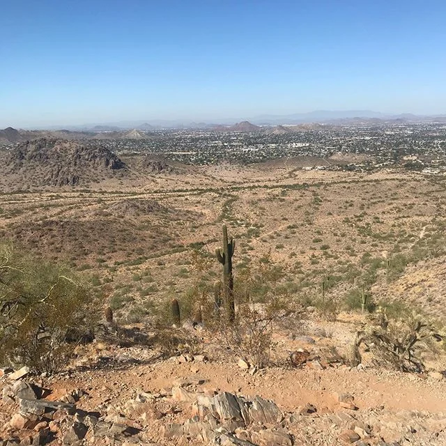 #Phoenix #hike #dreamydraw #explore #desert #nature #cactus #mountains #arizona #trails @phoenixmountainpreserves