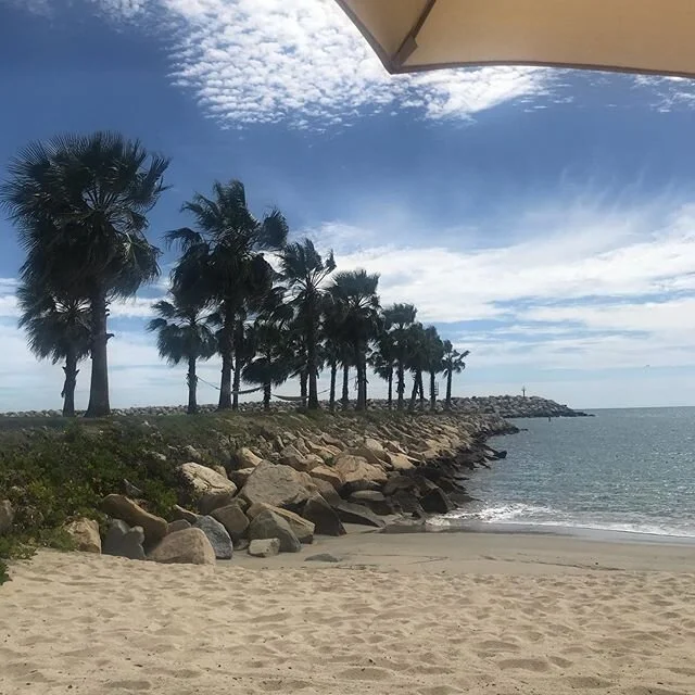 #beachday #sanjosedelcabo #baja #seaofcortez #palmtrees #sand #windy #mondayfunday #vacation #explore #adventure #mexico