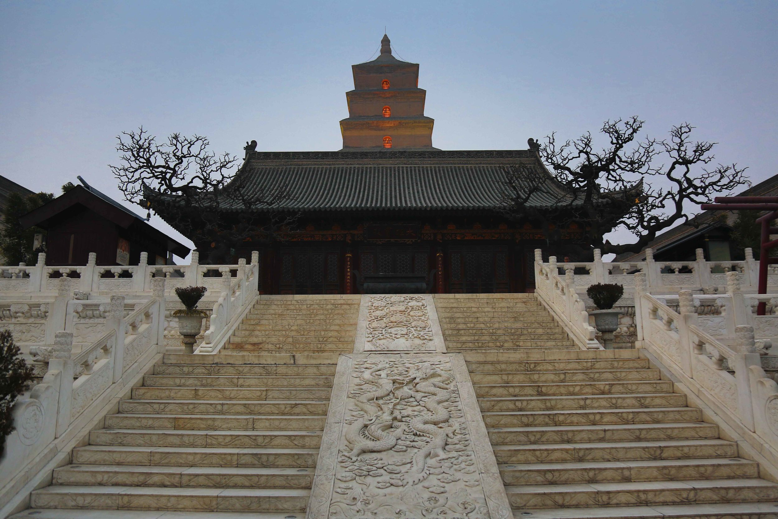CHI_3910.jpg