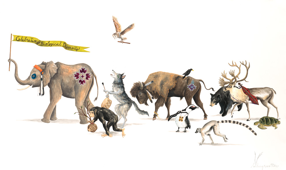  Celebration of Biodiversity   Gouache on paper&nbsp;  30" x 18"   *limited edition giclée prints available in my Etsy shop   ➵  &nbsp;  Hilary Wootton        