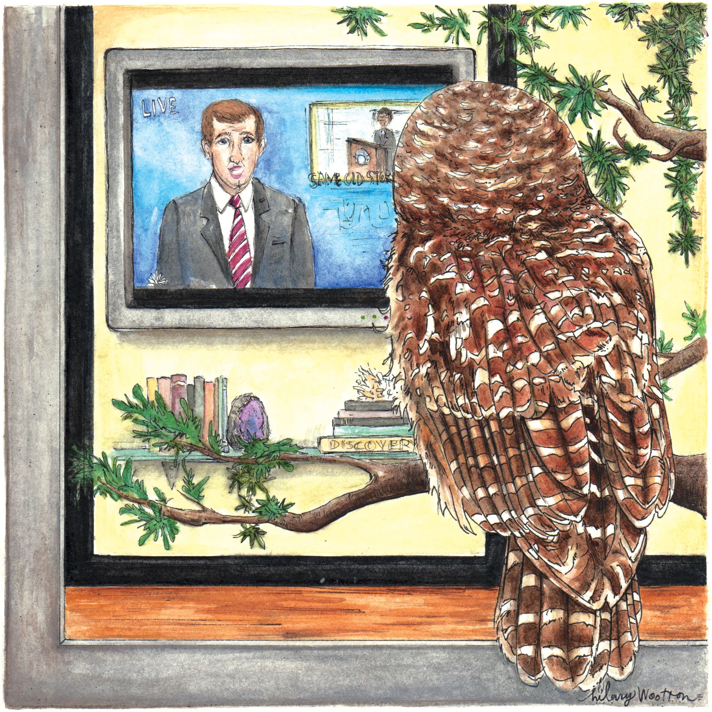   02. "Same Old Story"   Watercolor + ink on paper  8" x 8"  (Album booklet) 