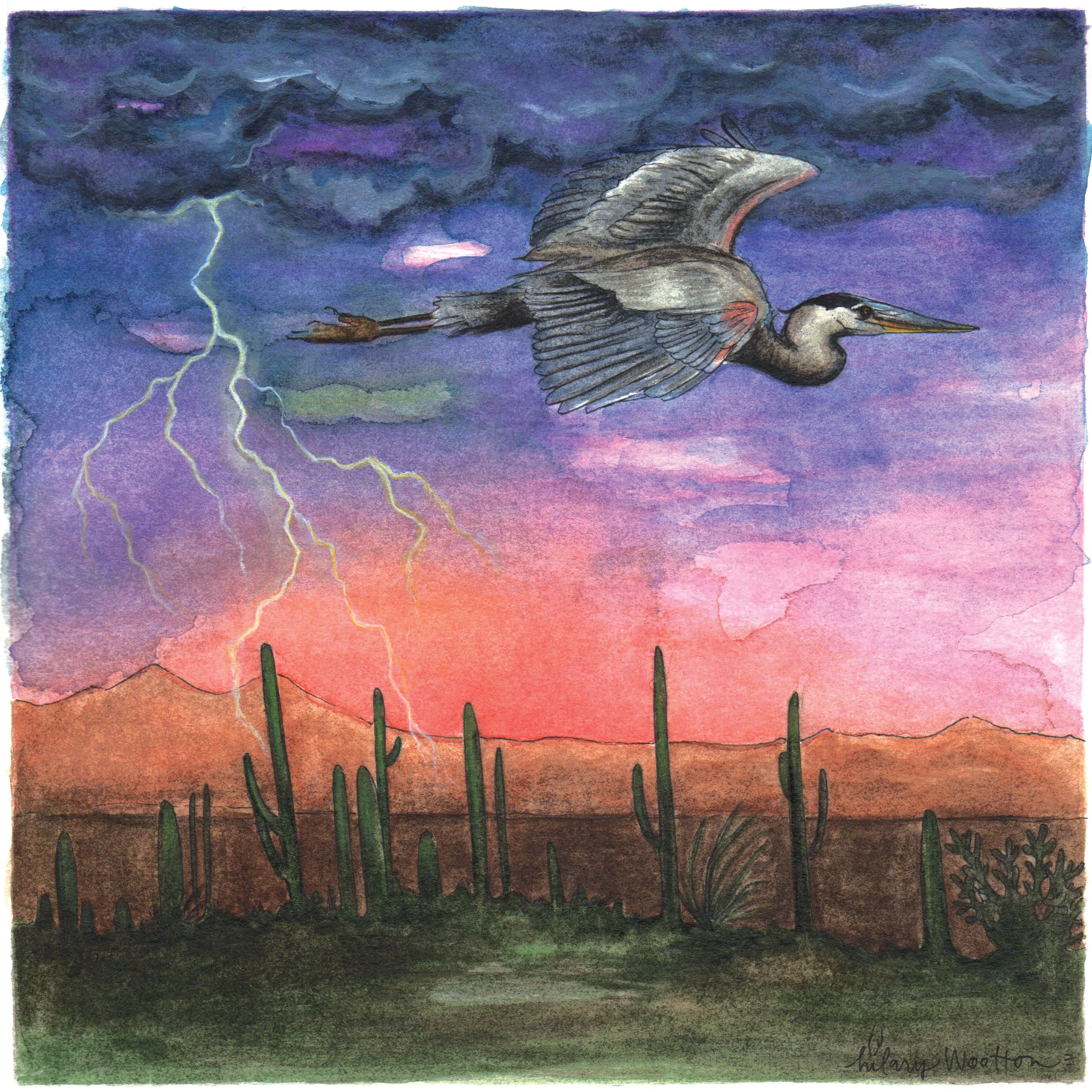   05. "Electricity"   Watercolor + ink on paper  8" x 8"  (Album booklet) 