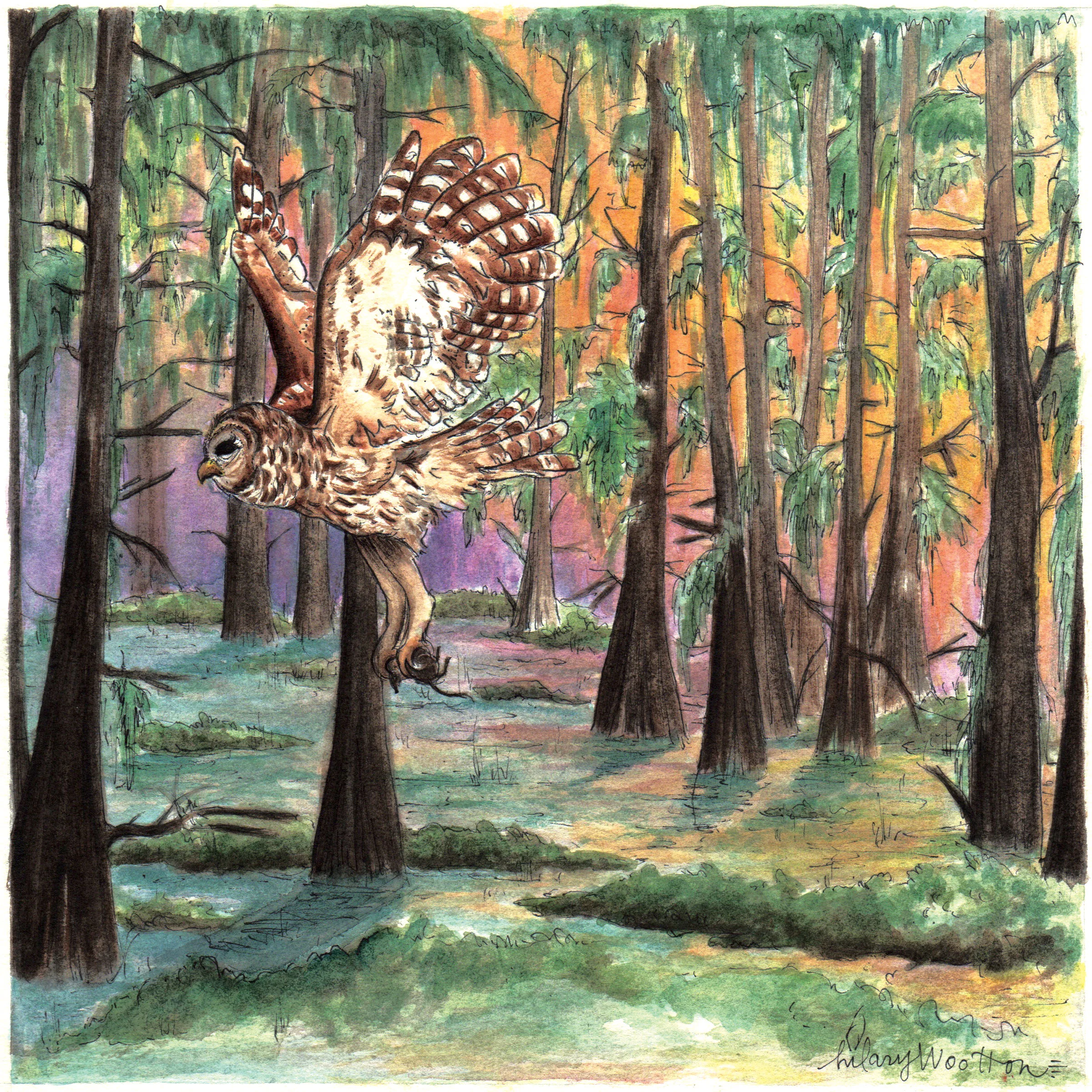   06. "What a Life"   Watercolor + ink on paper  8" x 8"  (Album booklet) 