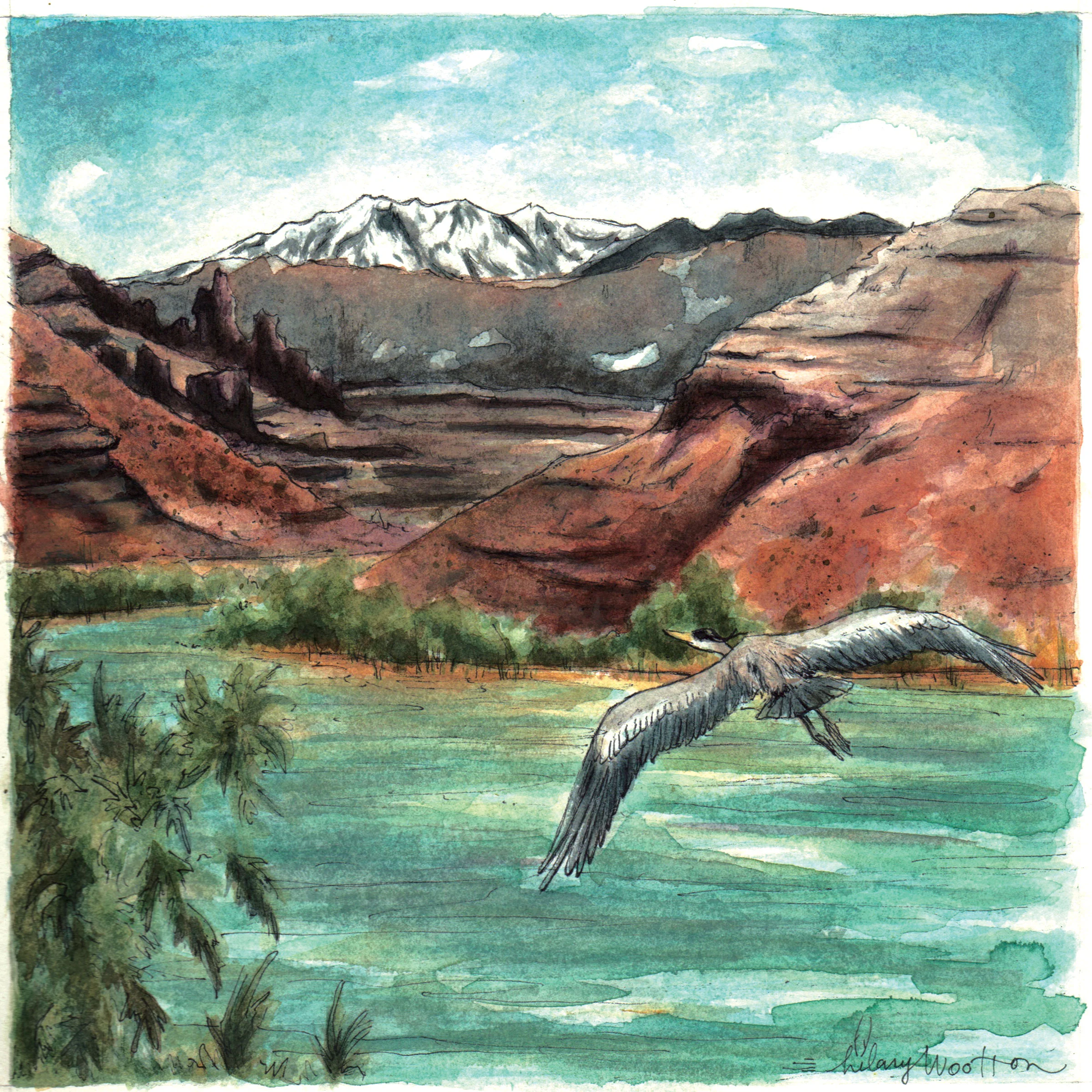   09. "Diving Bell"   Watercolor + ink on paper  8" x 8"  (Album booklet) 
