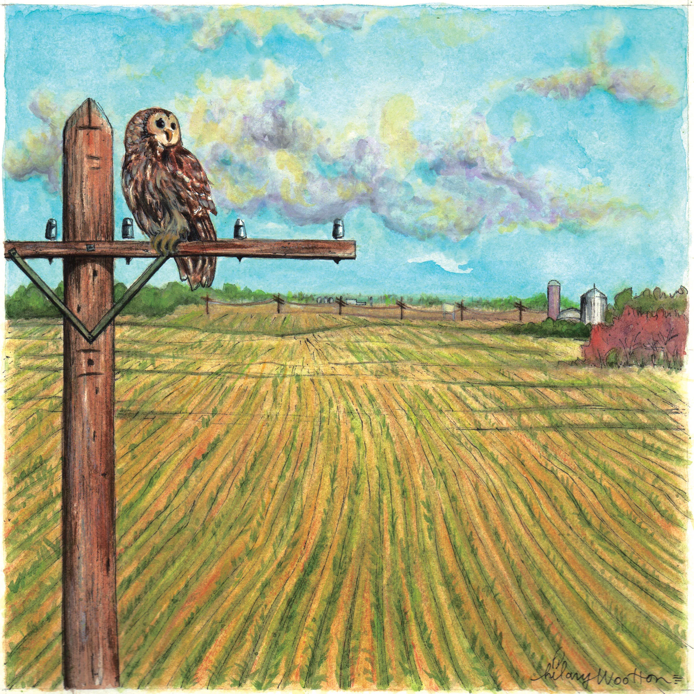   10. "Words"   Watercolor + ink on paper  8" x 8"  (Album booklet) 