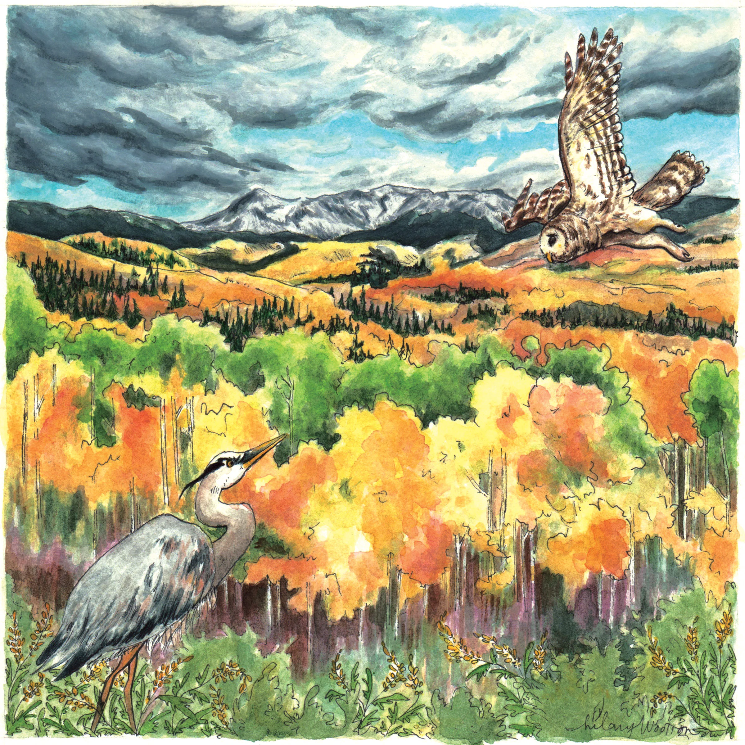   11. "Fickle"   Watercolor + ink on paper  8" x 8"  (Album booklet) 