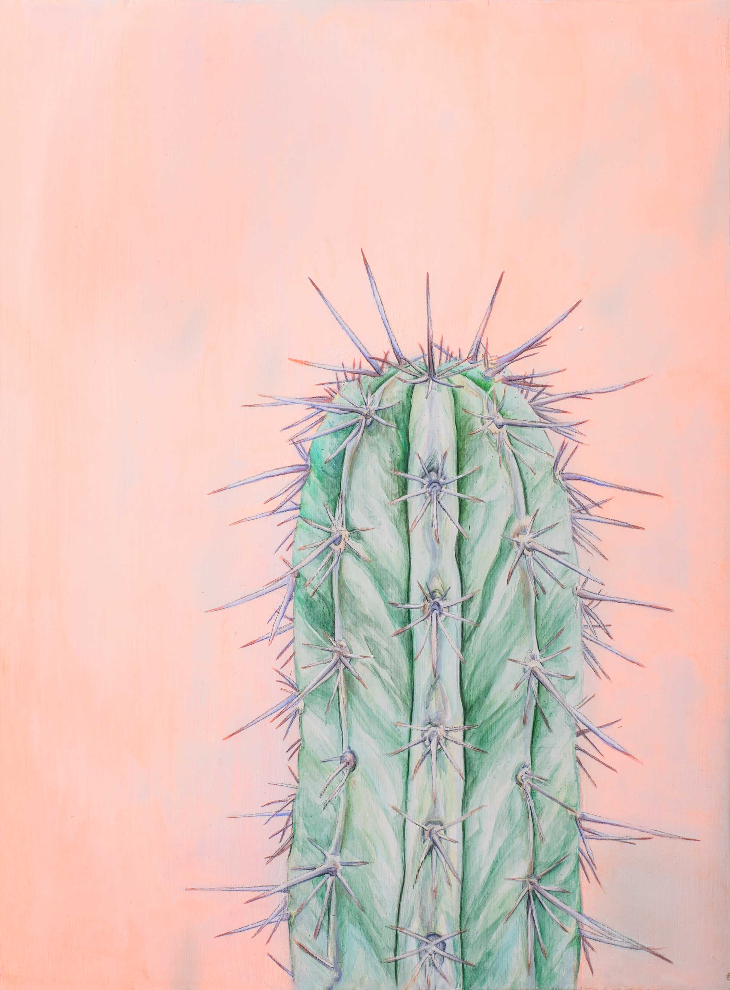 Peruvian Torch Acrylic + graphite on wood 9" x 12" * prints + cards available in my Etsy shop ➵ Hilary Wootton