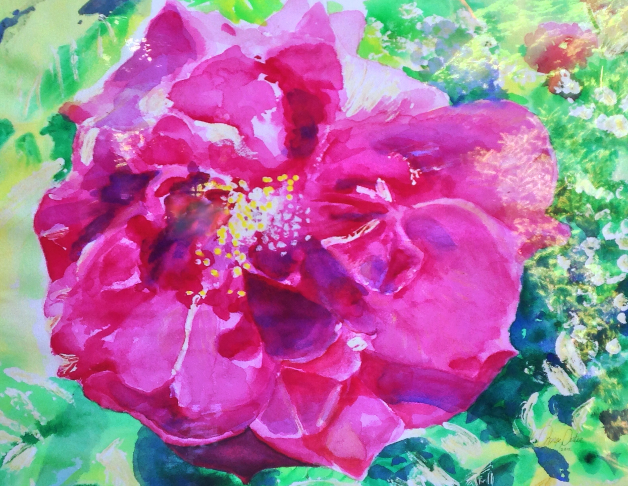 Red Rose watercolor