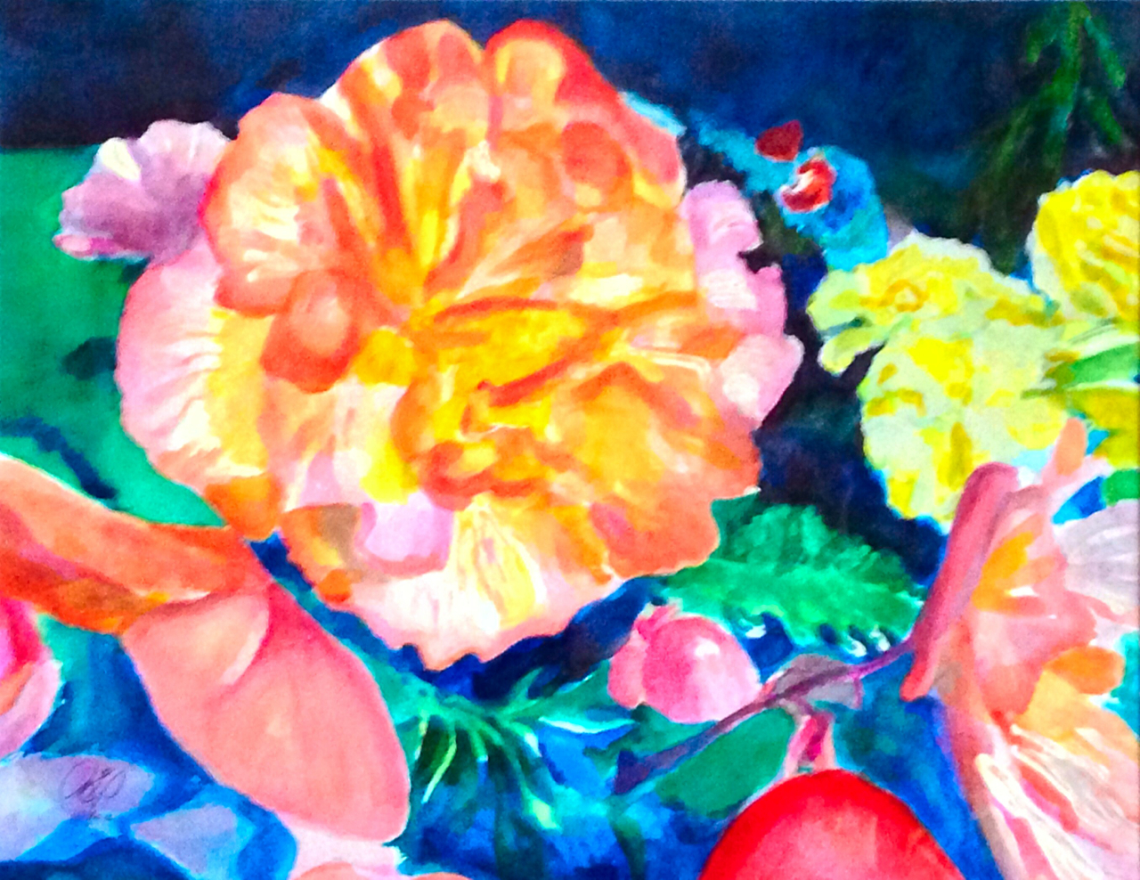 begonias, watercolor
