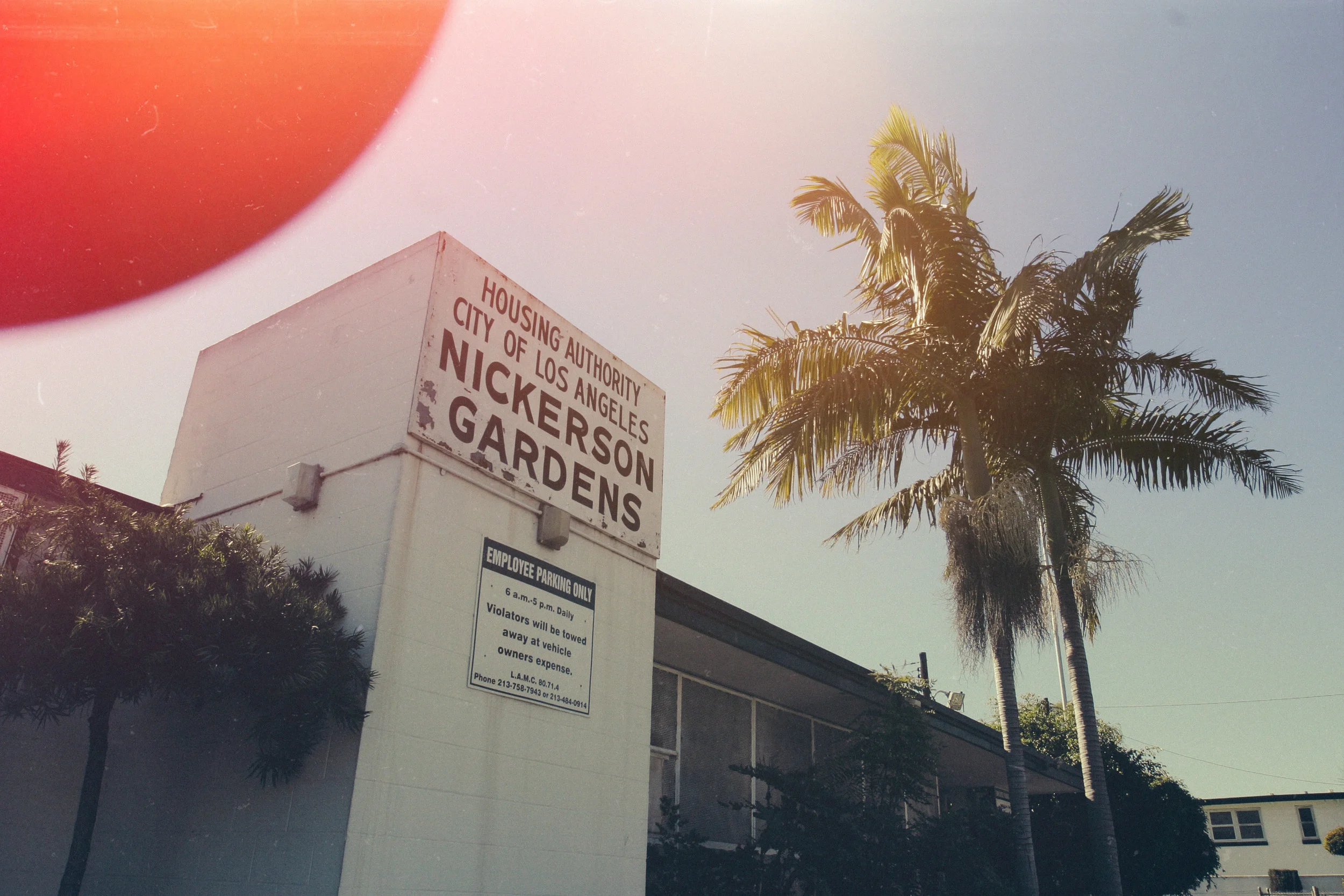 NICKERSON_1317_VSCO.jpg