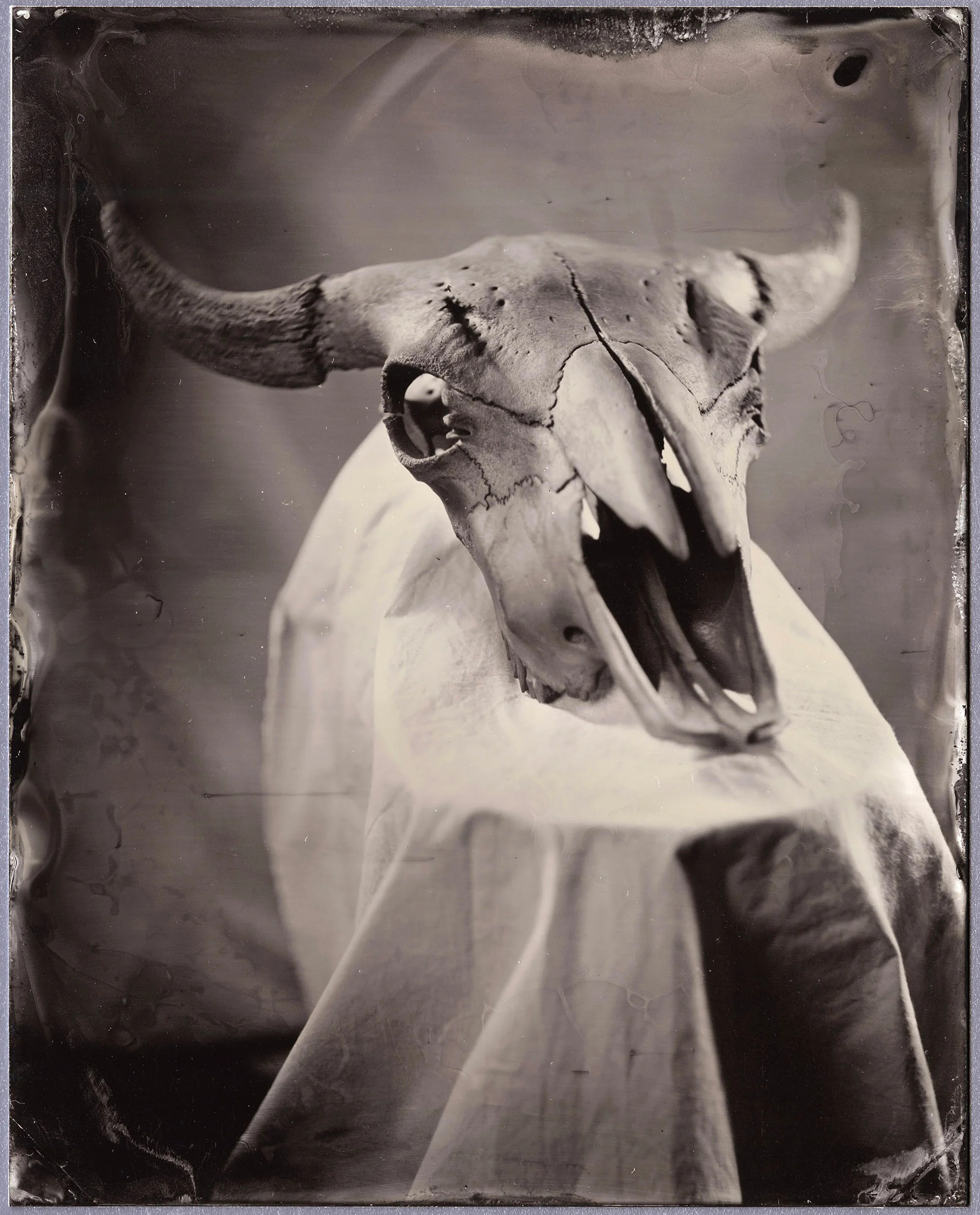 JF_TINTYPE_235394_002_CONTRAST.jpg