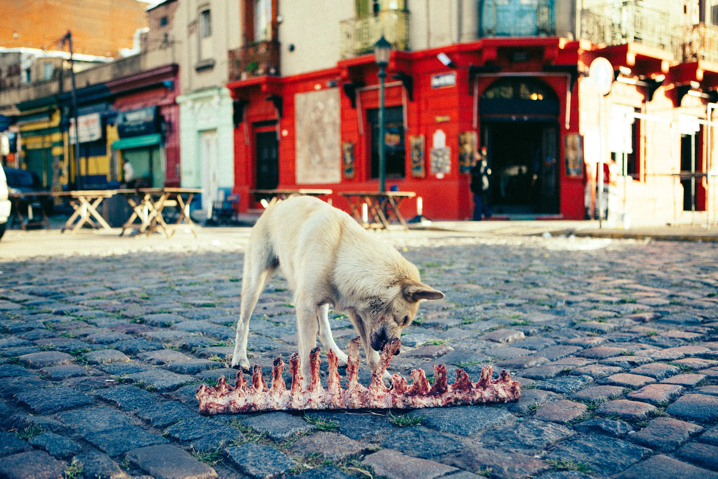 JF_BUENOS_AIRES_1687_VSCO_WEB.jpg