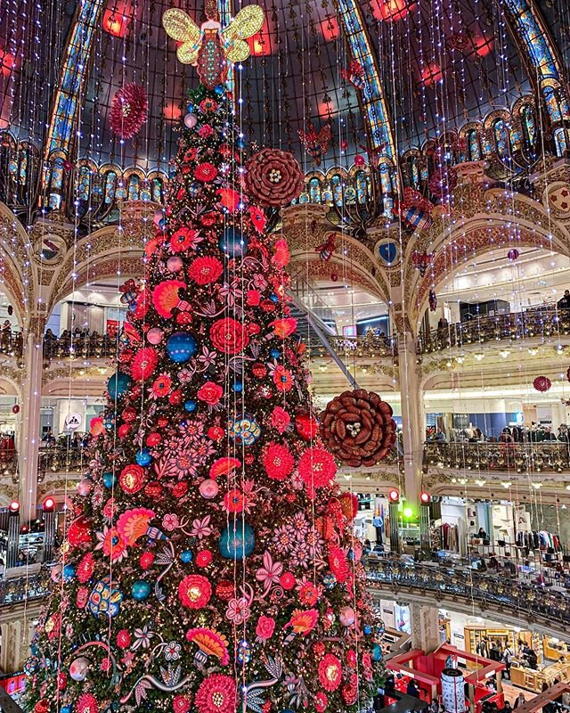 One of the most spectacular Christmas trees we saw during our trip 😍🎄