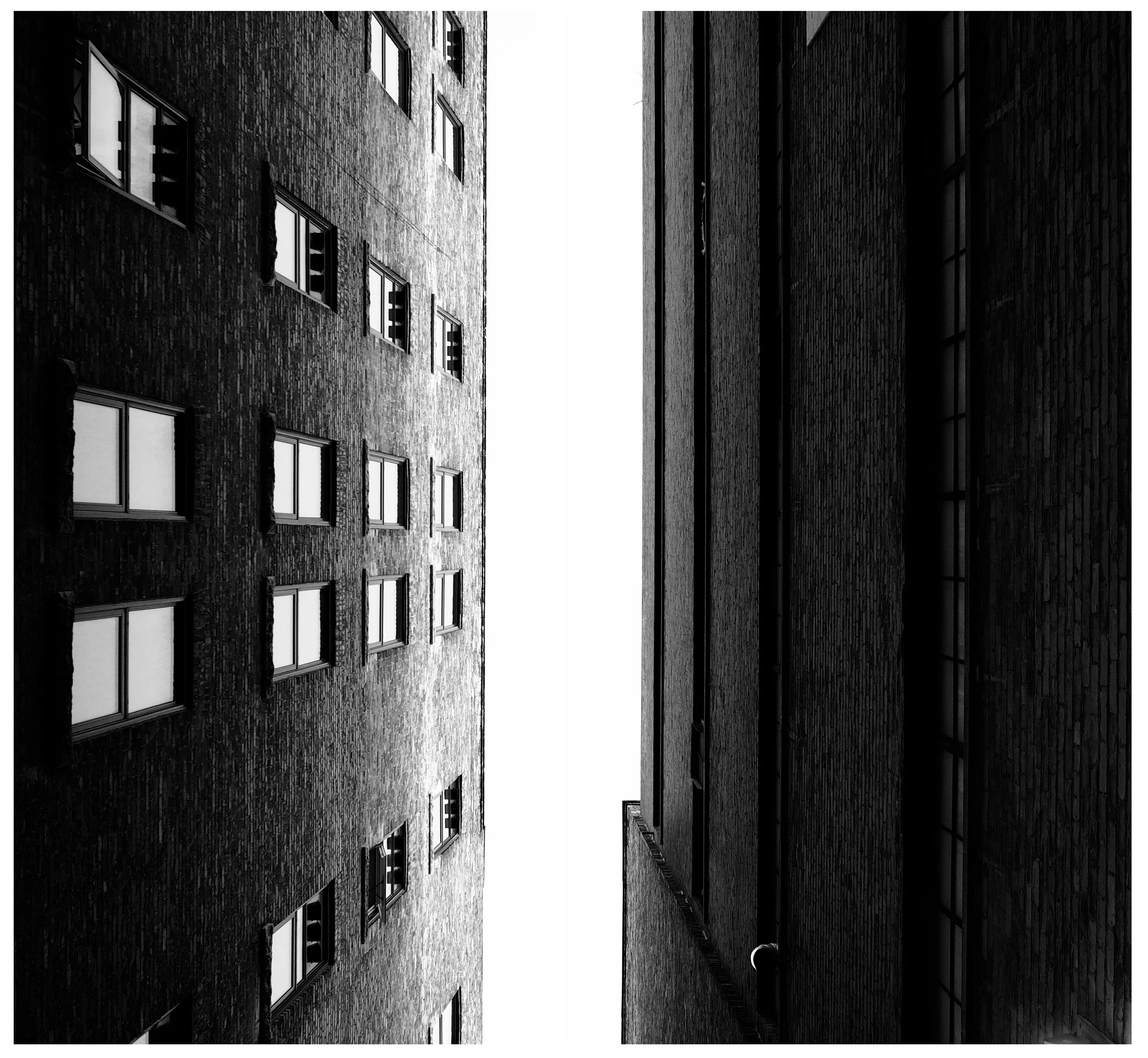 Lookingup.jpg