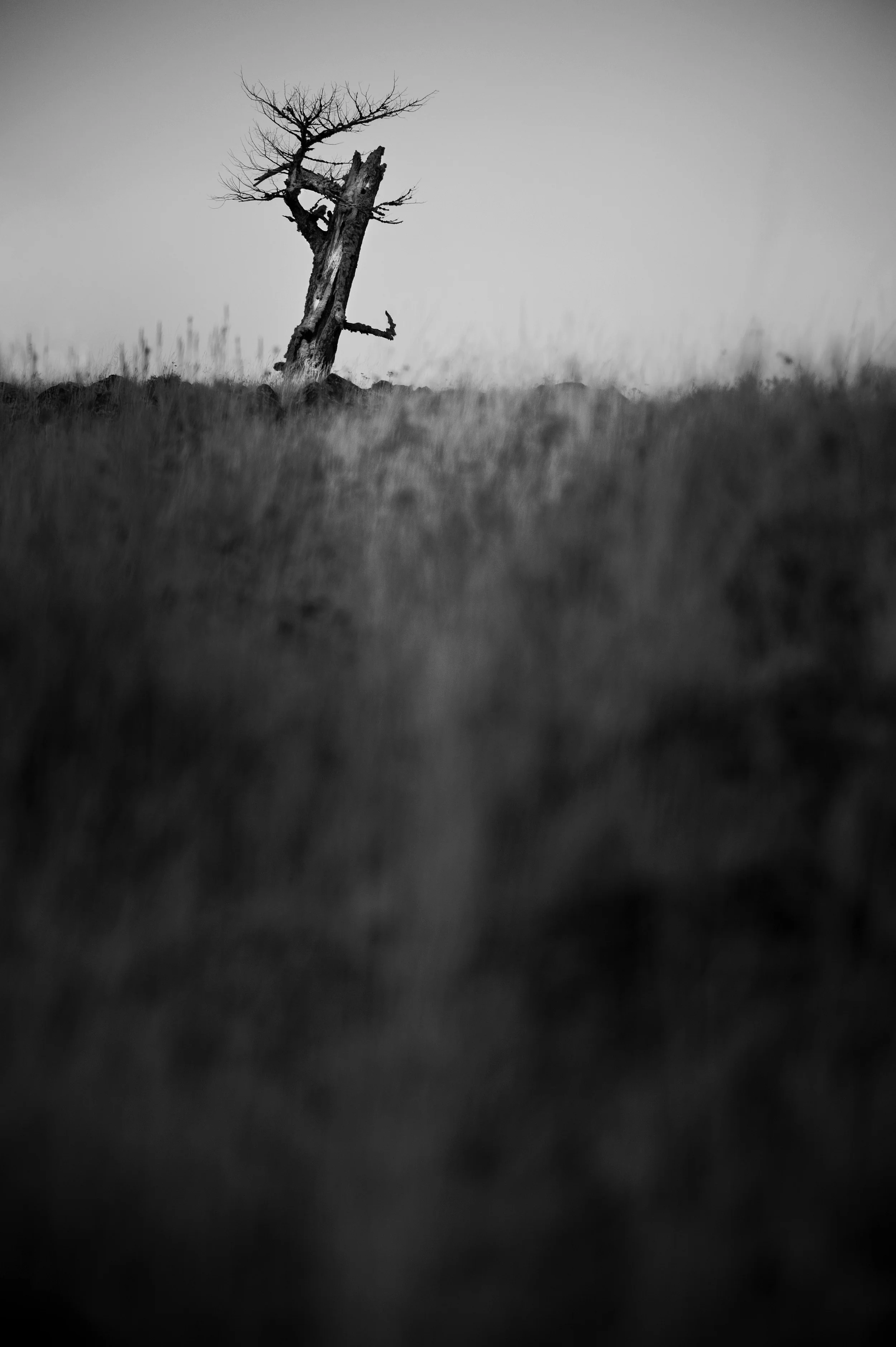BSP_5068-Edit.jpg