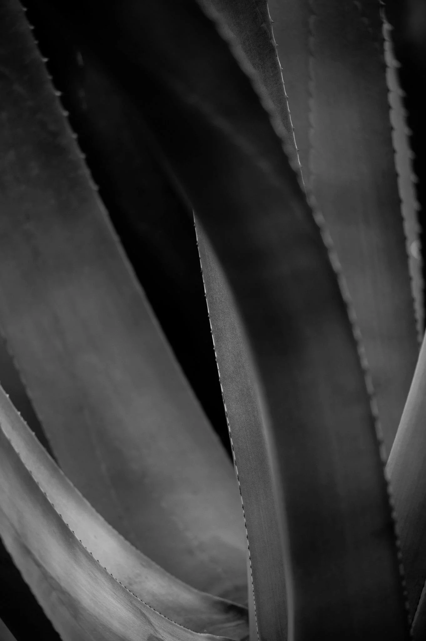 739760_10152425149160381_1993465024_o.jpg