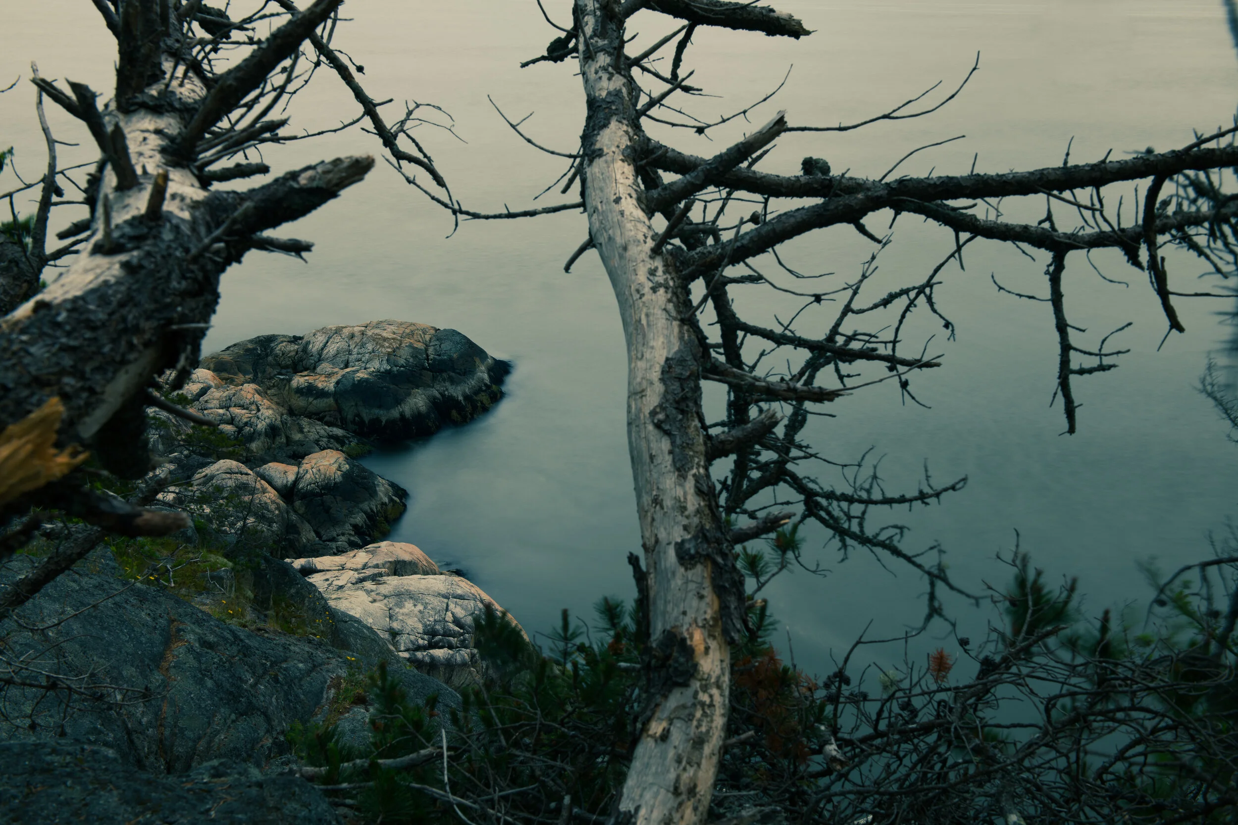 CCN_0188.jpg