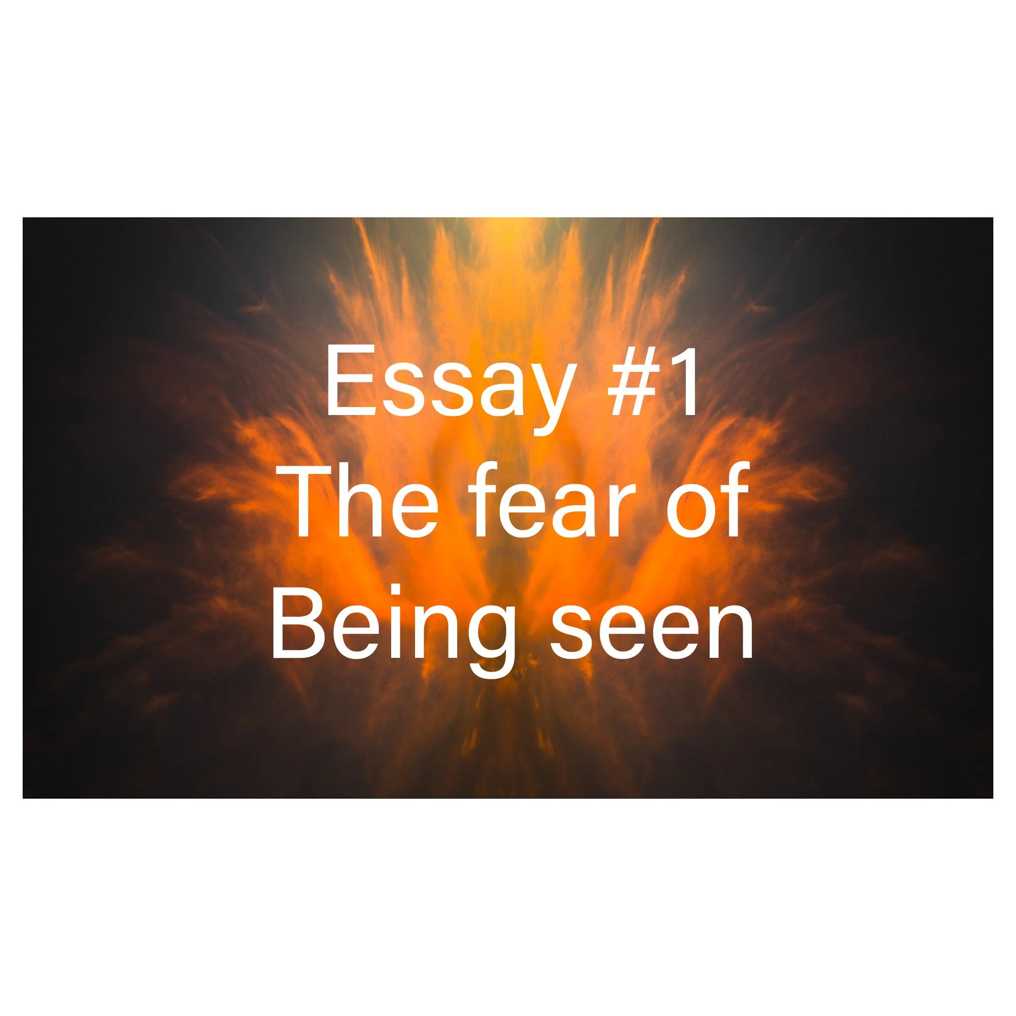 Essay #1  The Fear Being seen.