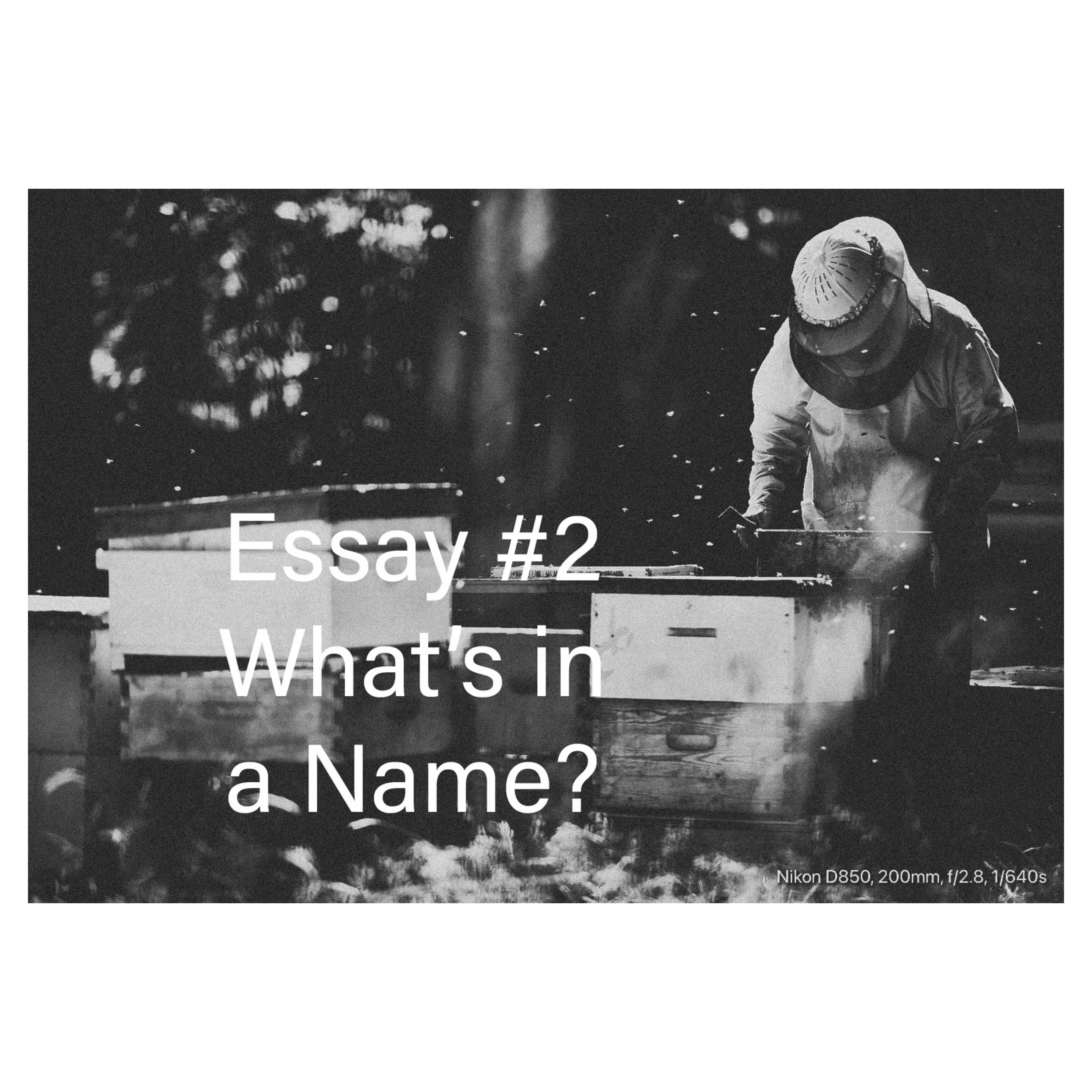 Essay #2  Whats  in a Name?