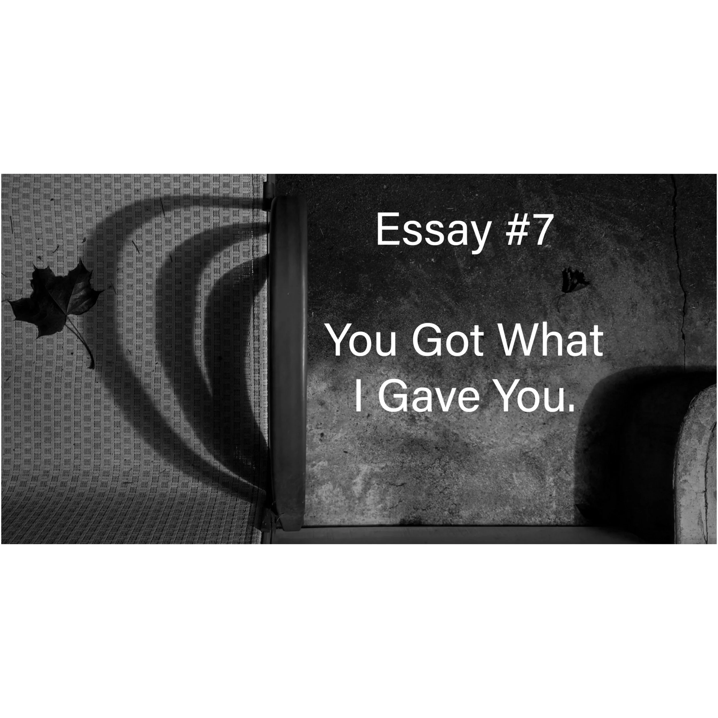 Essay  #7 You Got What I Gave You