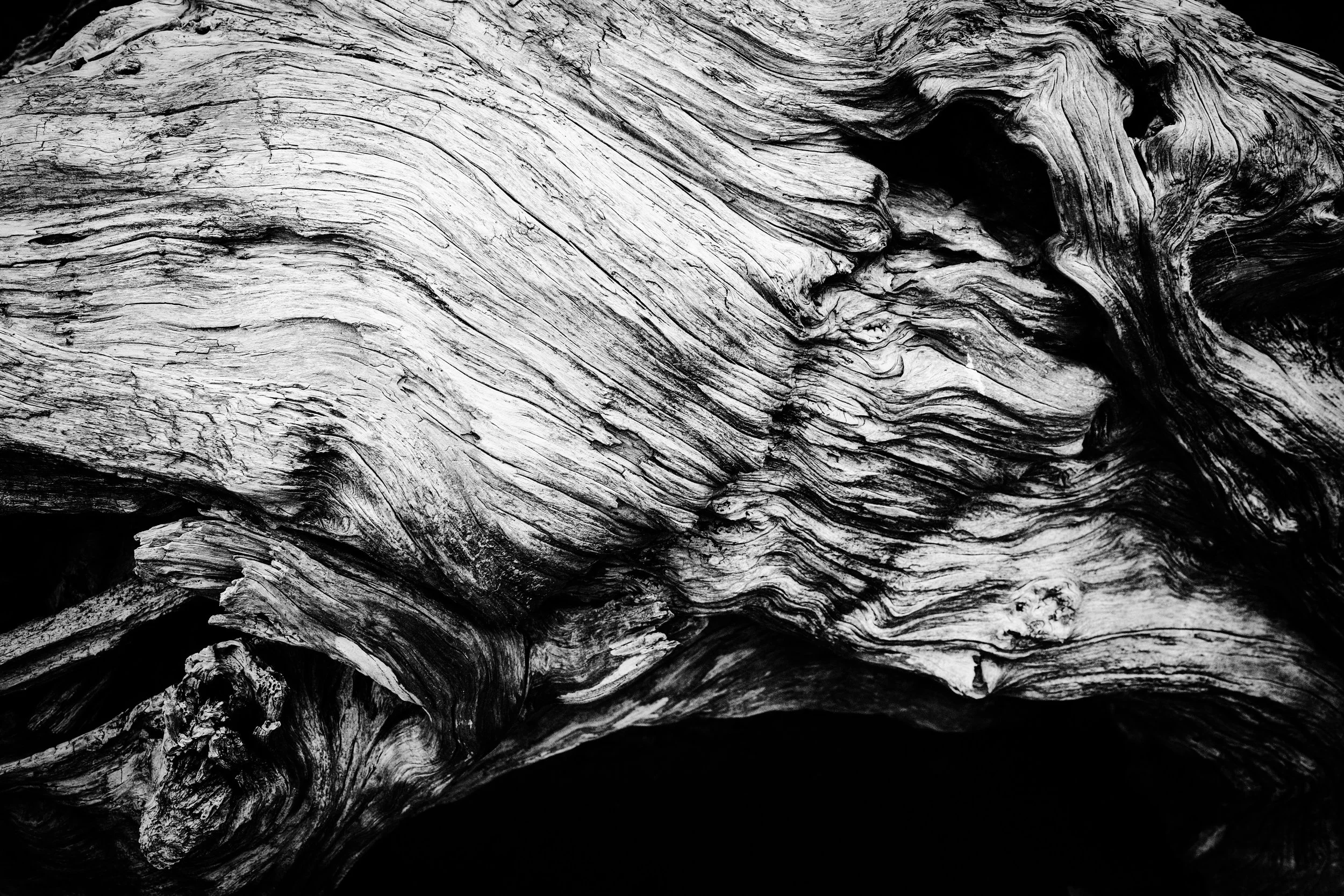 7C1400FF-604E-4C08-929A-6F4B4E5676DD.jpeg