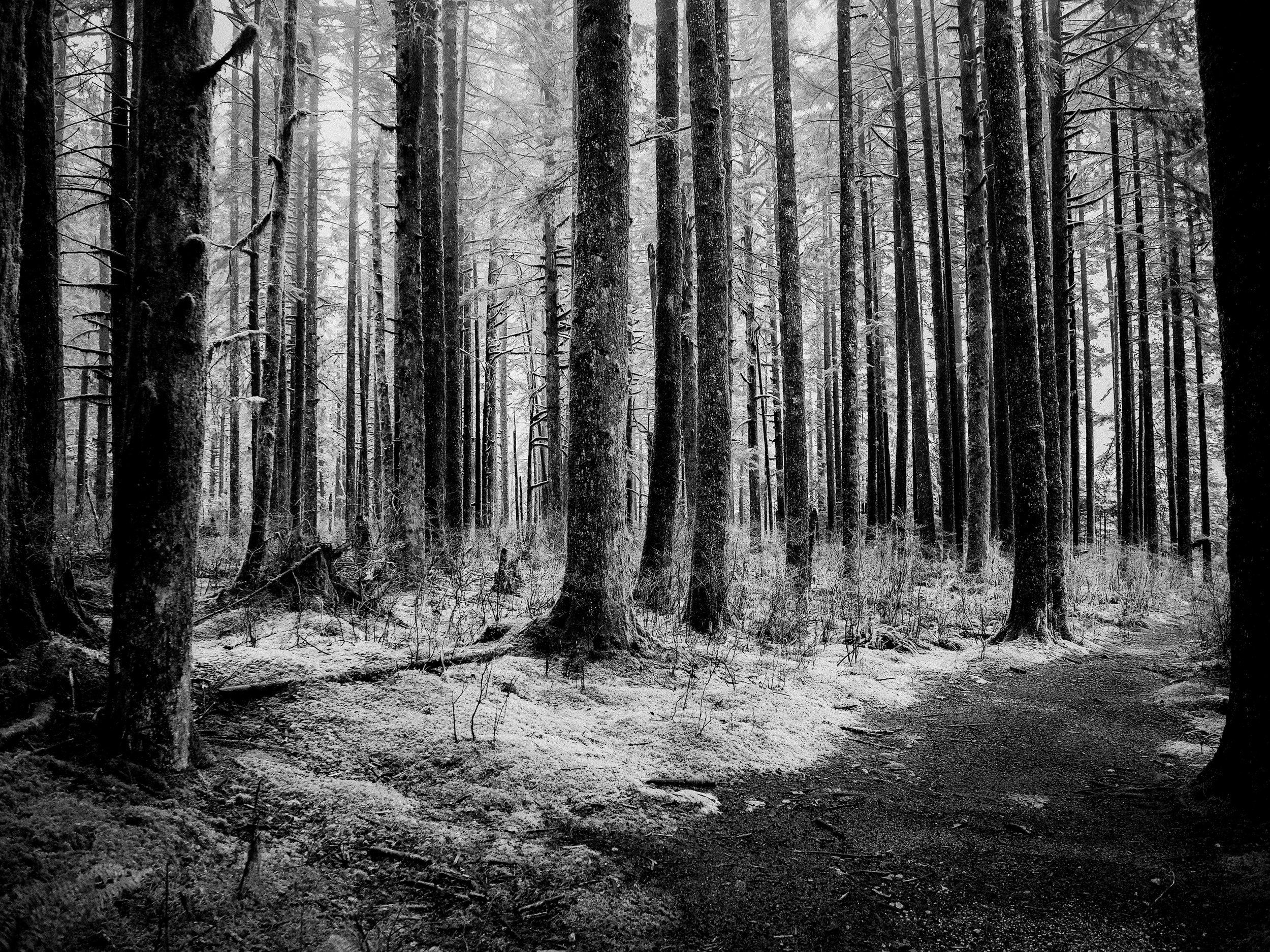 001-3 (2).jpg