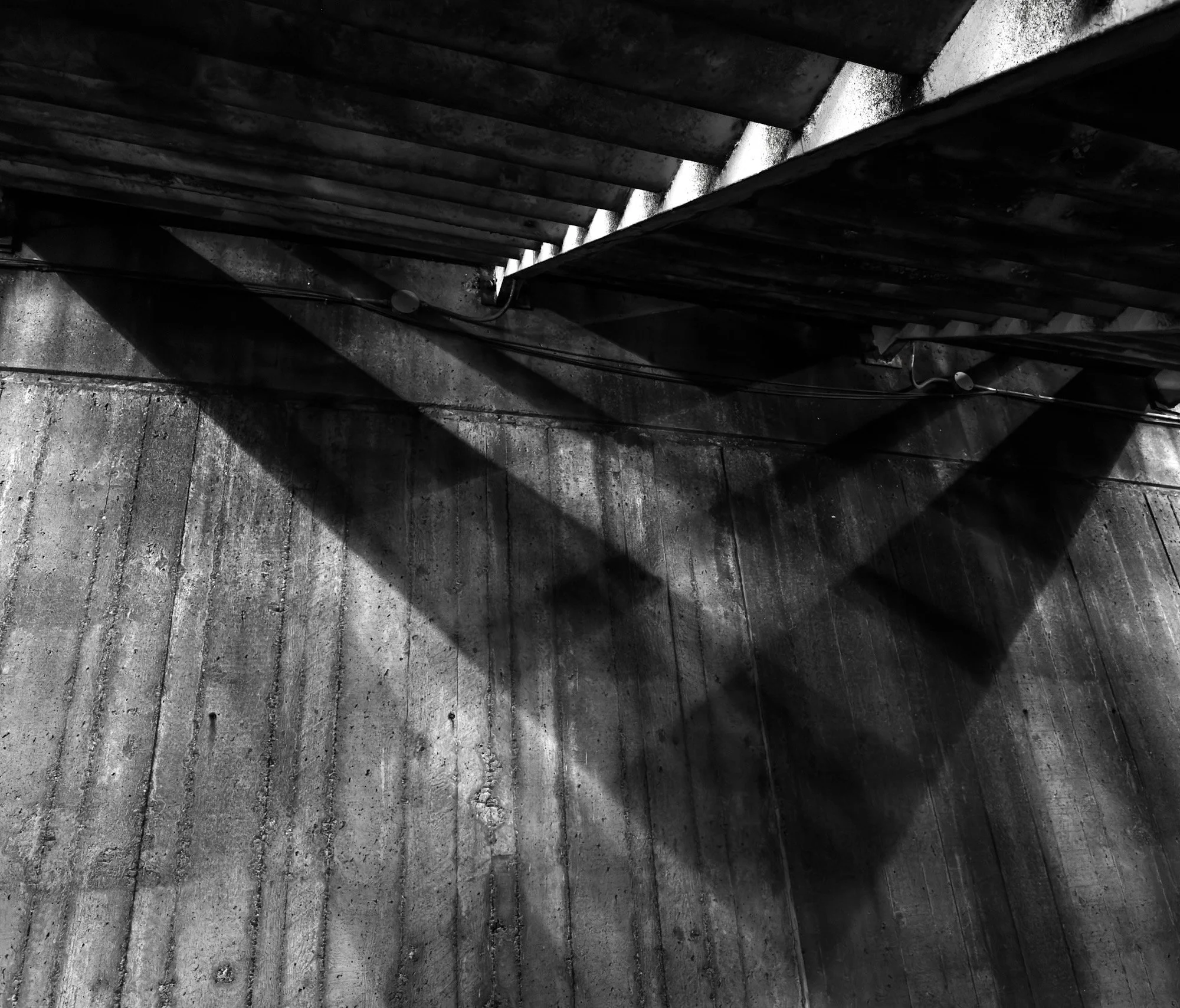 D1680C6B-D1CF-431F-BE7F-2380D085A5BE.jpeg
