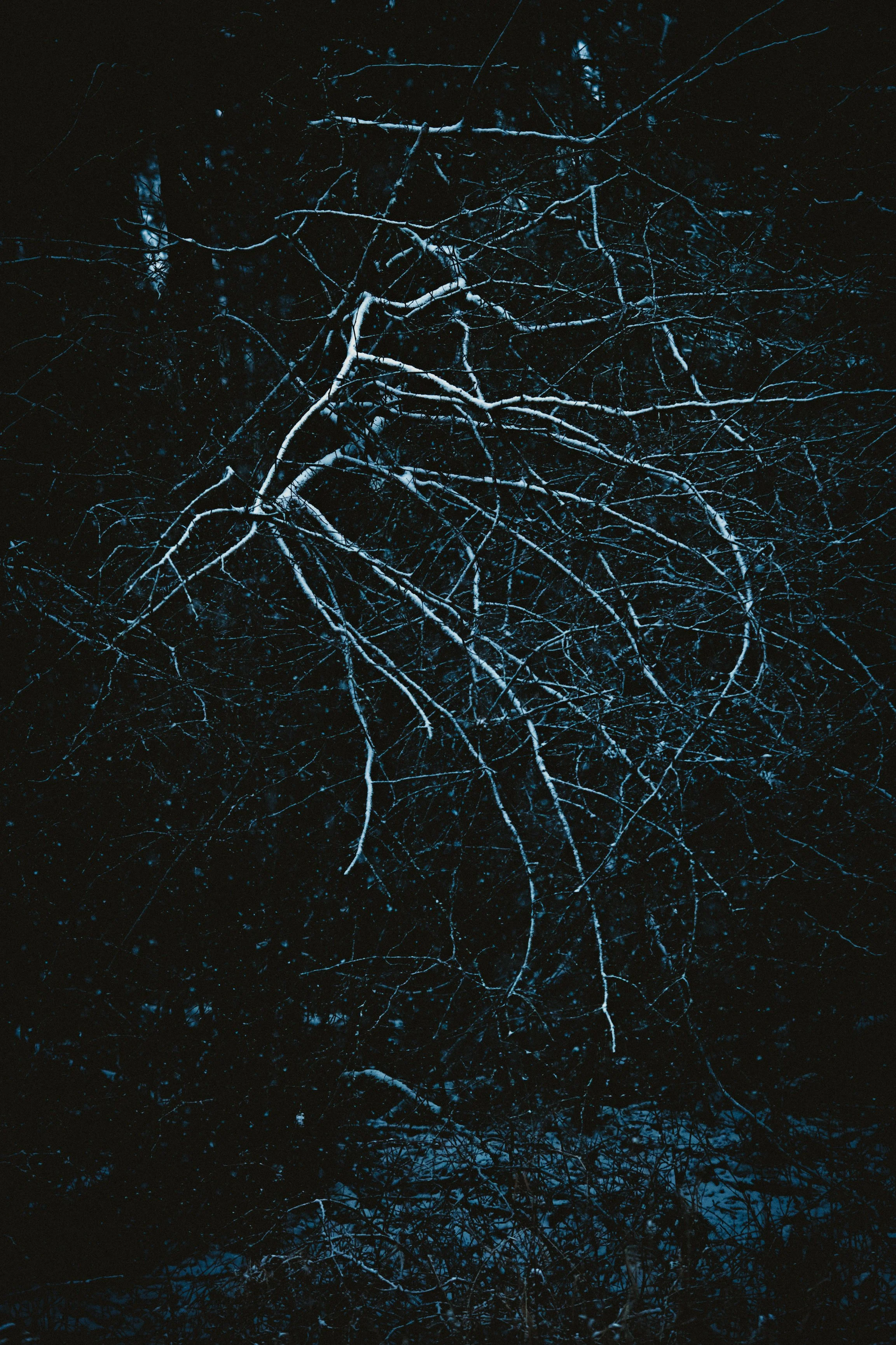 3E27C11E-CBD2-44A2-8812-4B5B43012A9B.jpeg