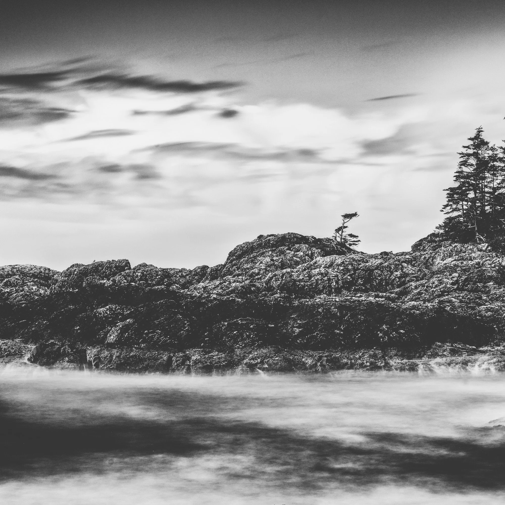 1811EF20-451A-404D-82DD-8E681B953210.jpeg