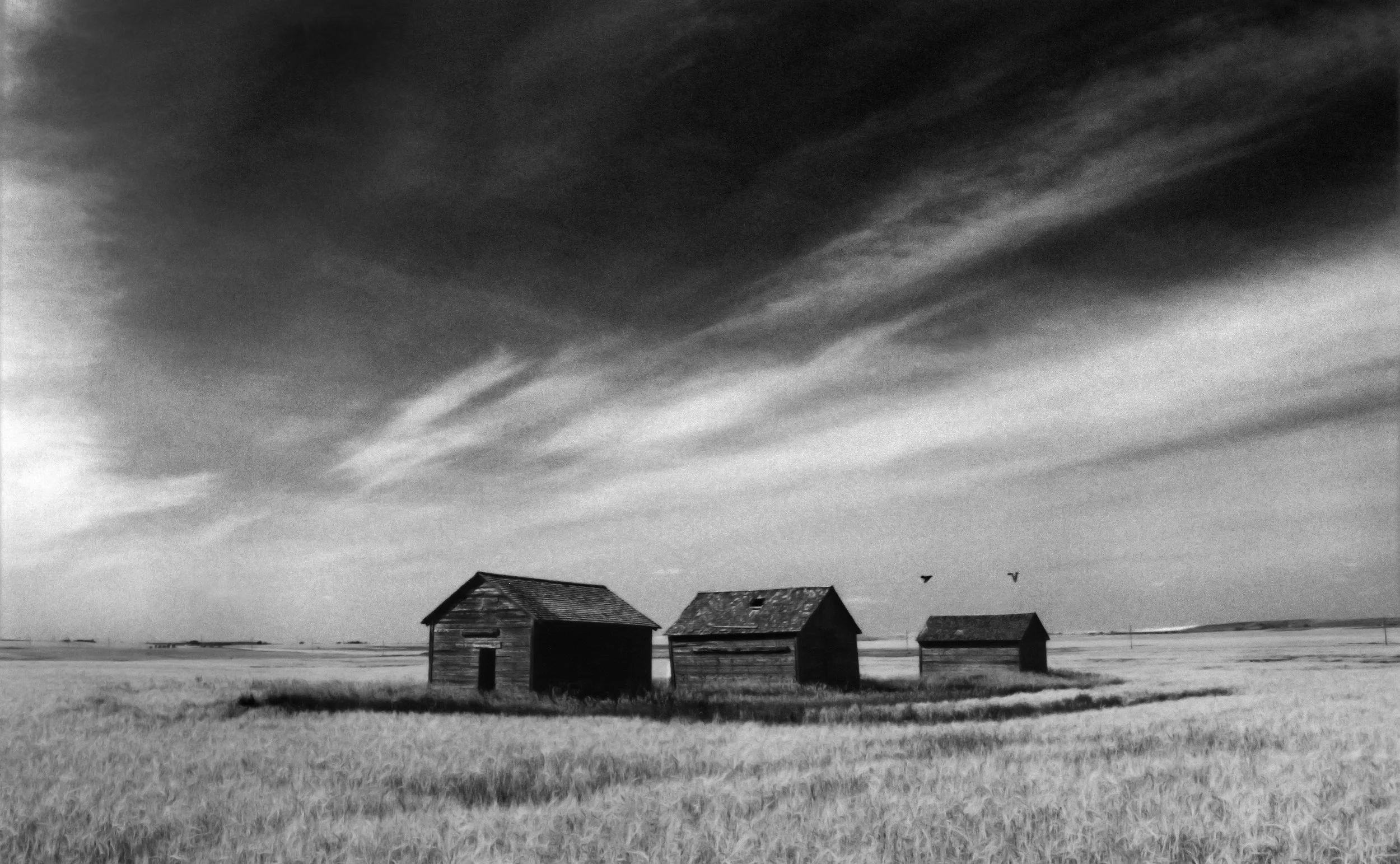 Barns.jpg