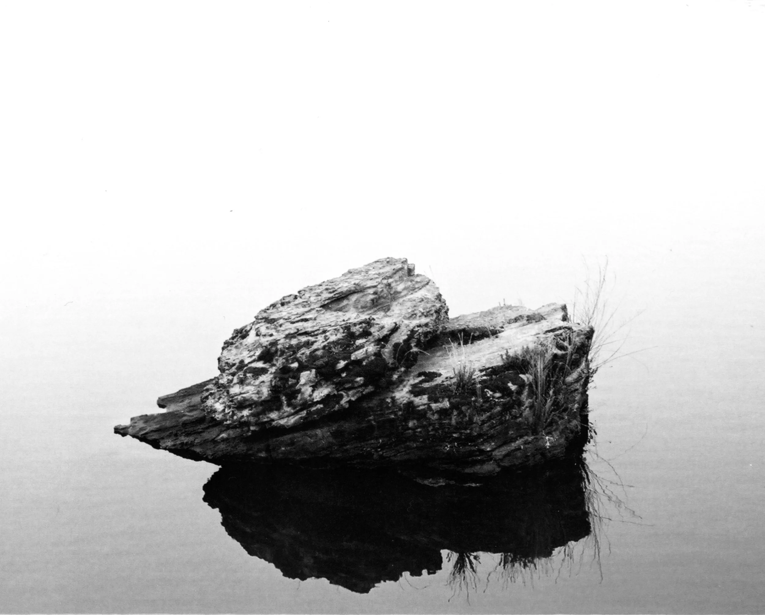 FD8BE587-7DE0-43AD-9A1E-5F593BC8888D.jpeg