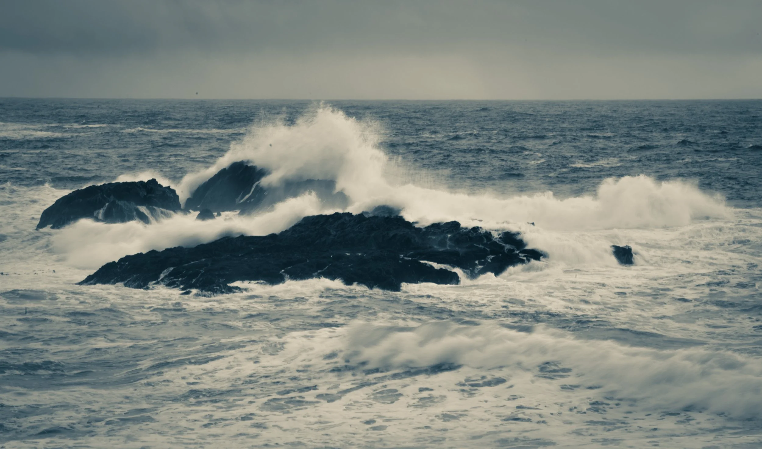 52341BE7-BE44-474D-B131-F1A08F5290A7.jpeg
