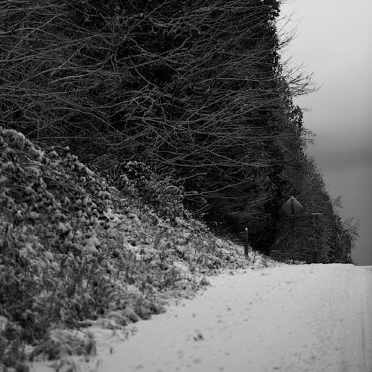 3EBA565A-0734-4CBA-AB03-FD75021E8D03.jpeg