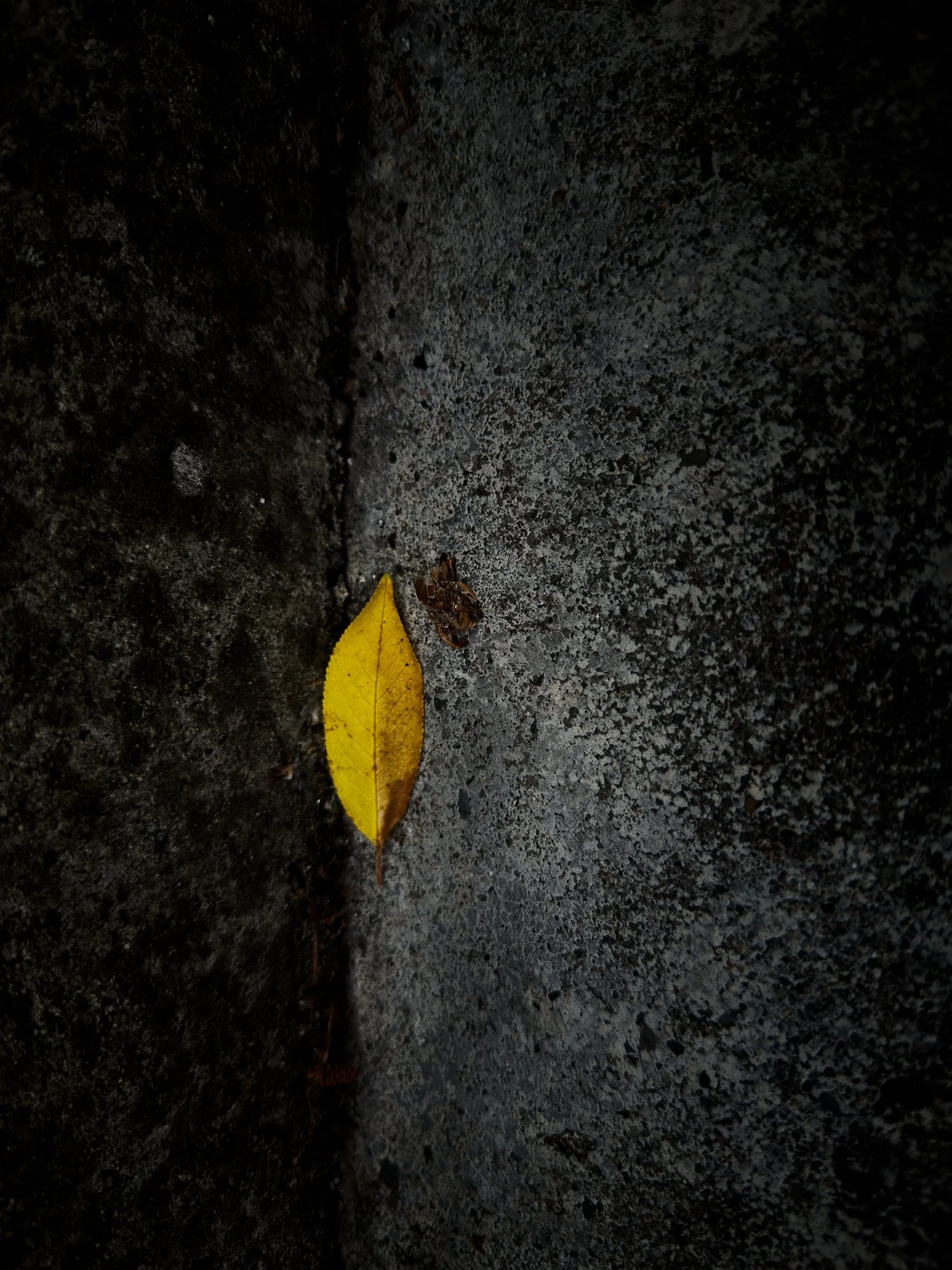 253BF57E-CE85-4F7A-9F42-7C632BC9BF59.jpeg