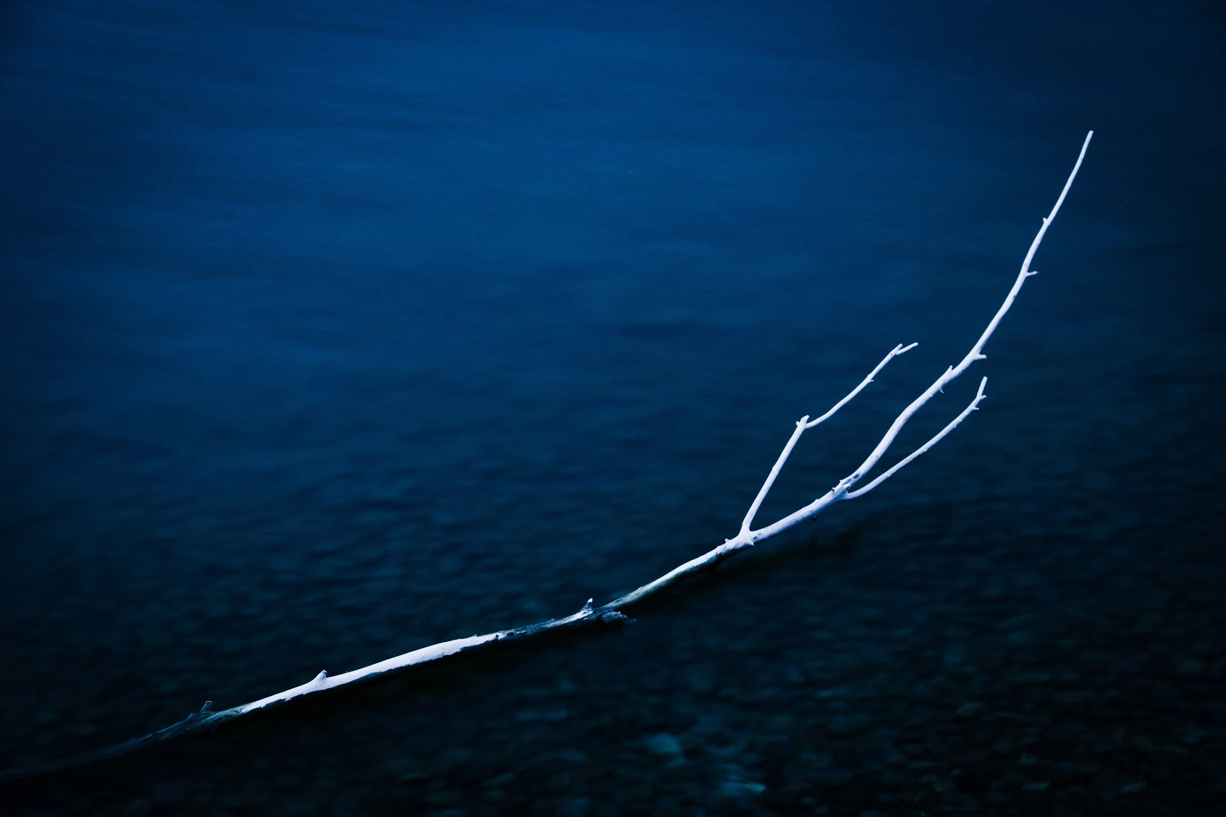 A688D444-7B55-4F81-AB72-A4246B5517A8.JPEG