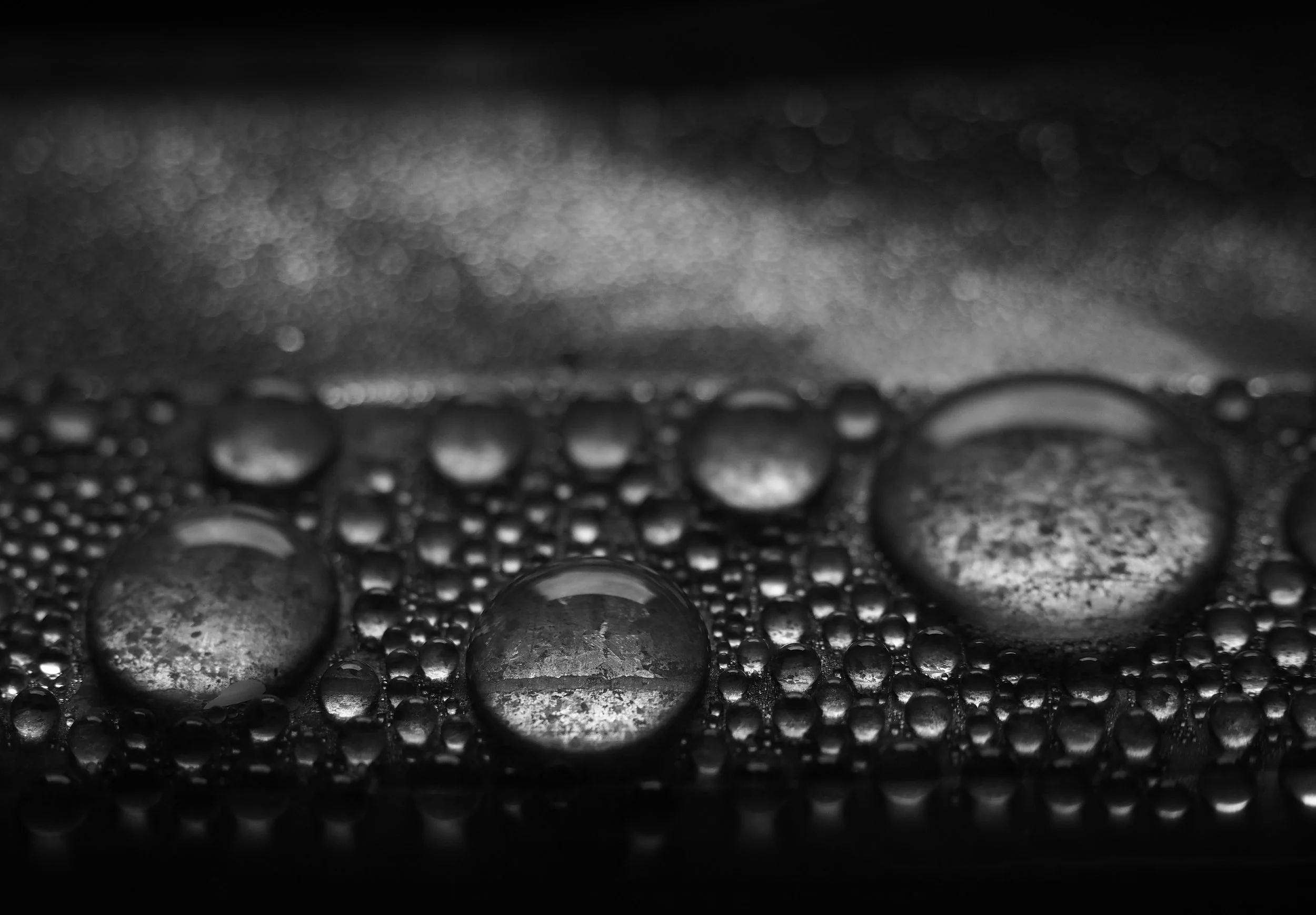 Rain.jpg