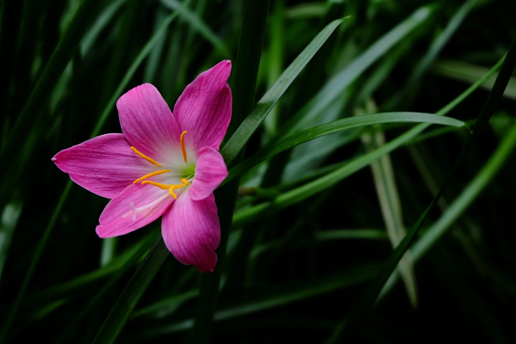 2013_0207_23325900.jpg
