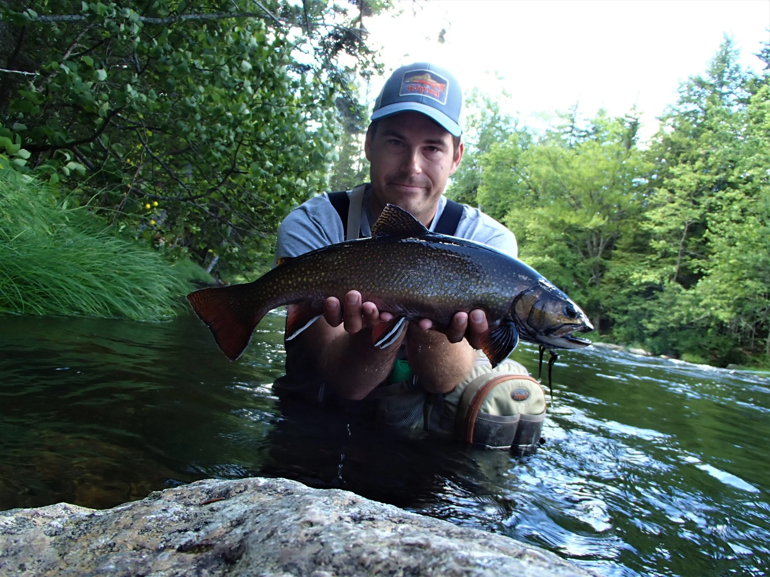 Thinking Through Streamer SetUps. — Top Notch Fly Fishing LLC