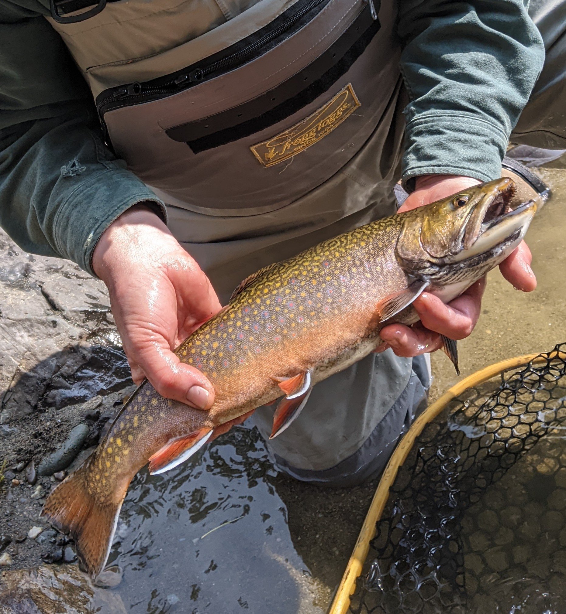 On the Water Blog — Top Notch Fly Fishing LLC
