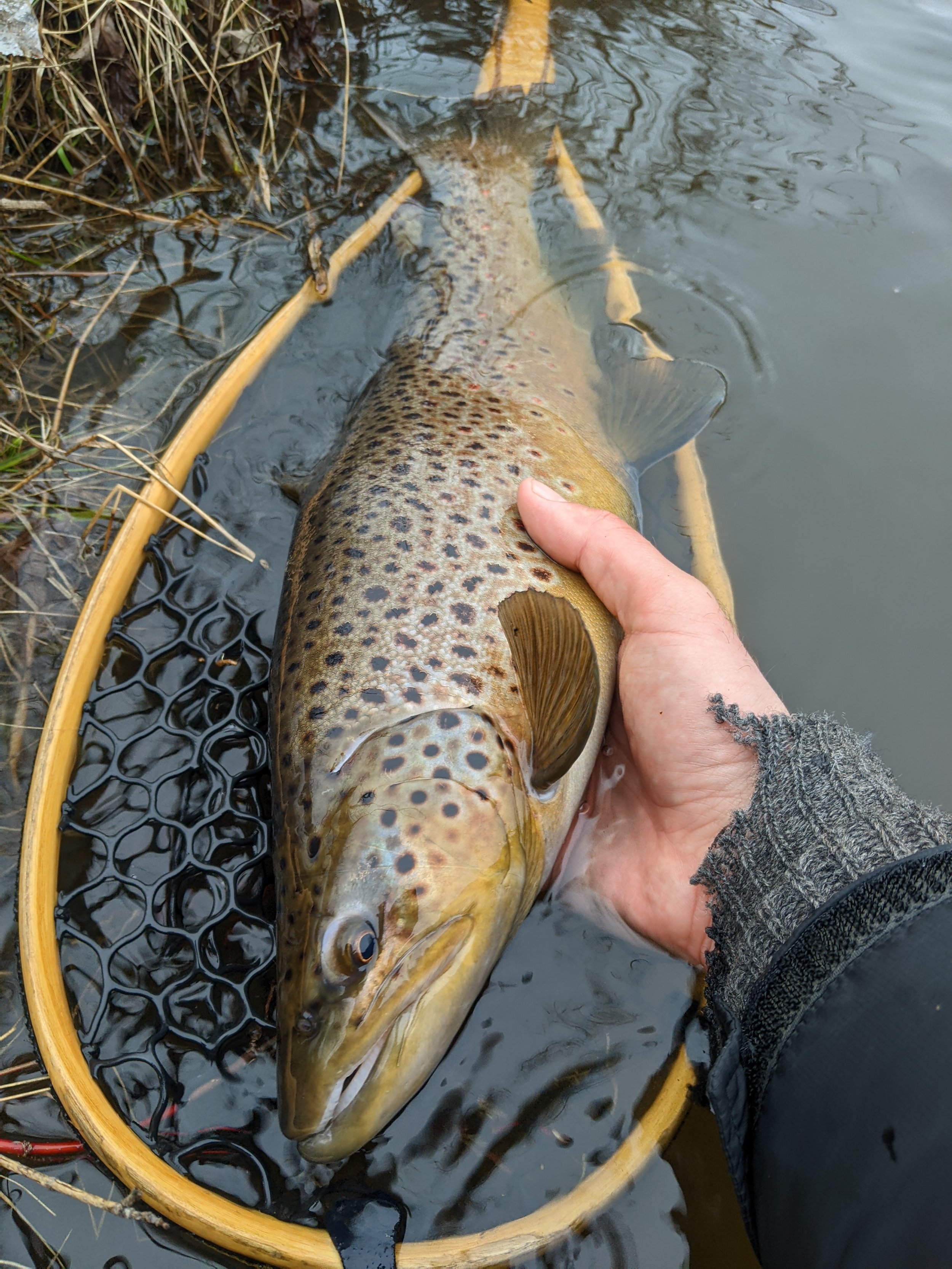 Why Slow-Sinking Lures Catch More Fall and Winter Trout