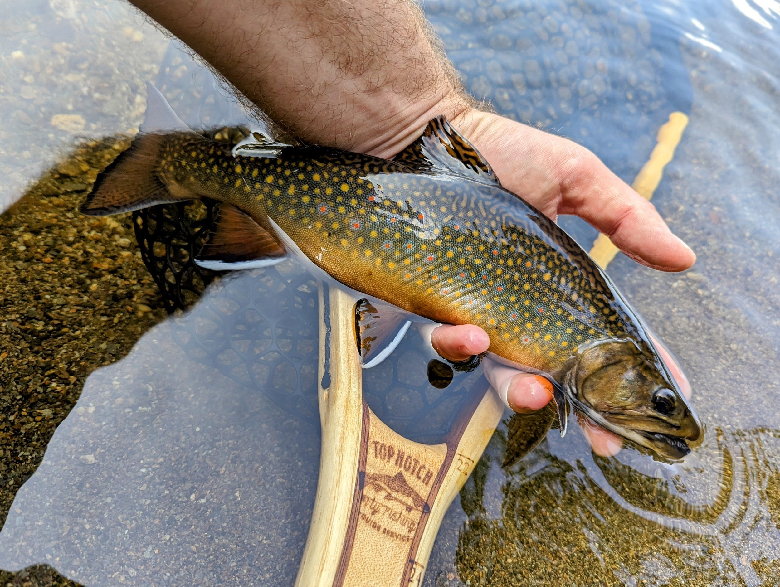 Video: Fly Fishing the Hex Hatch in Michigan in Trout Season – Going  Nocturnal – The Venturing Angler