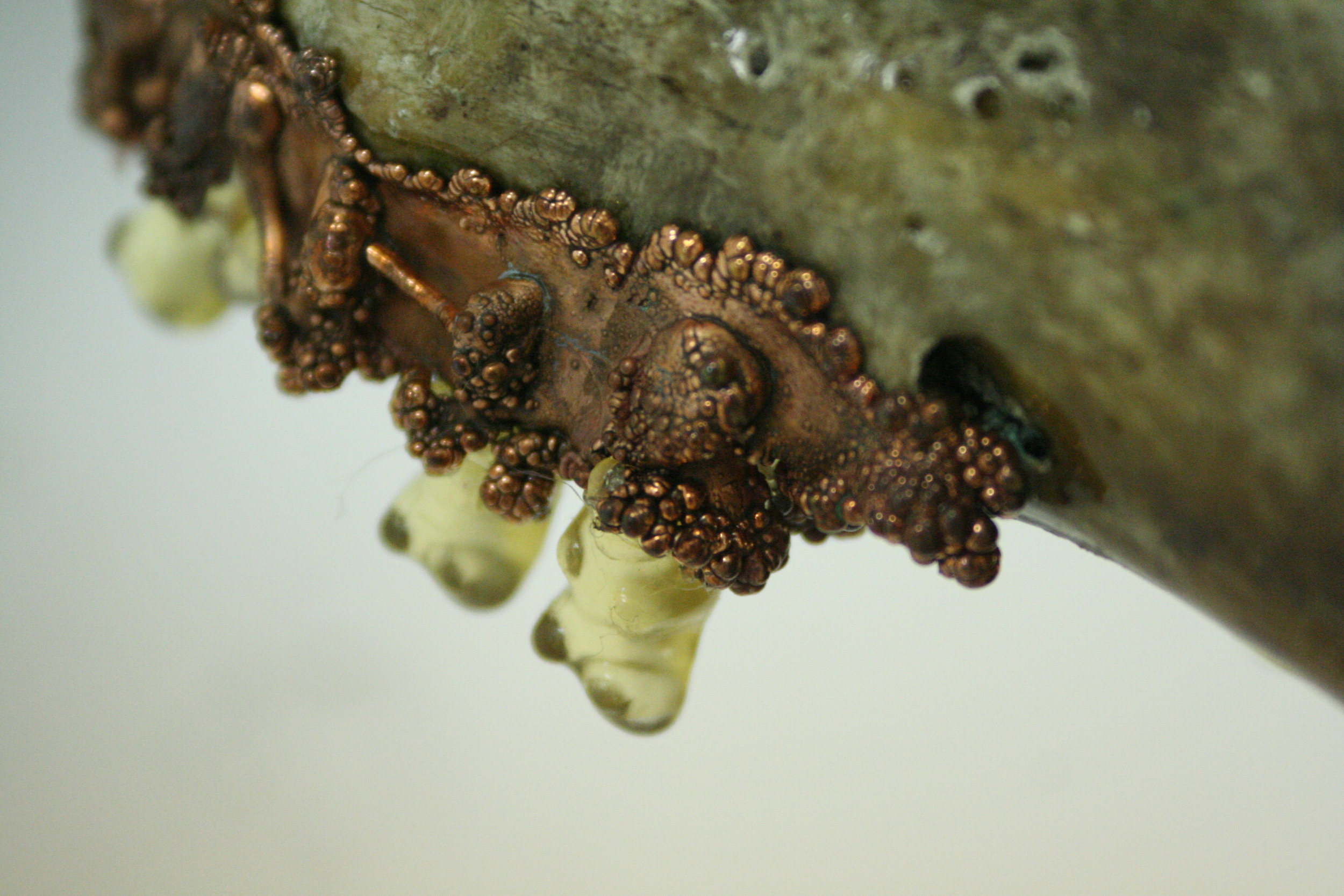 Happy Birthday I Detail